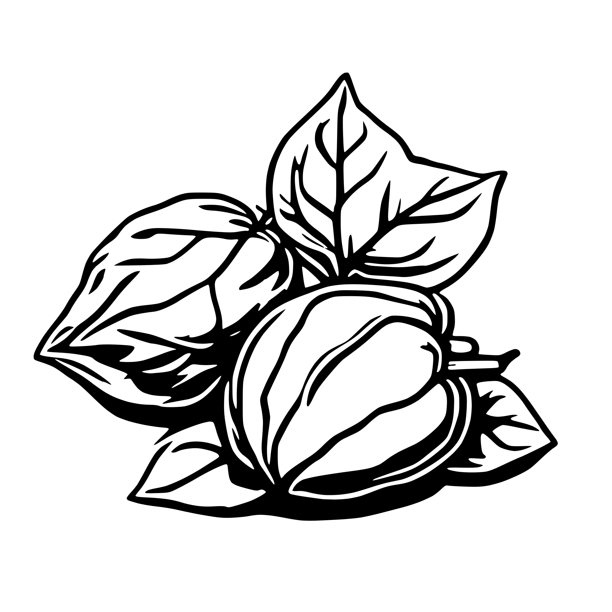 AI-generated SVG of 'Physalis'