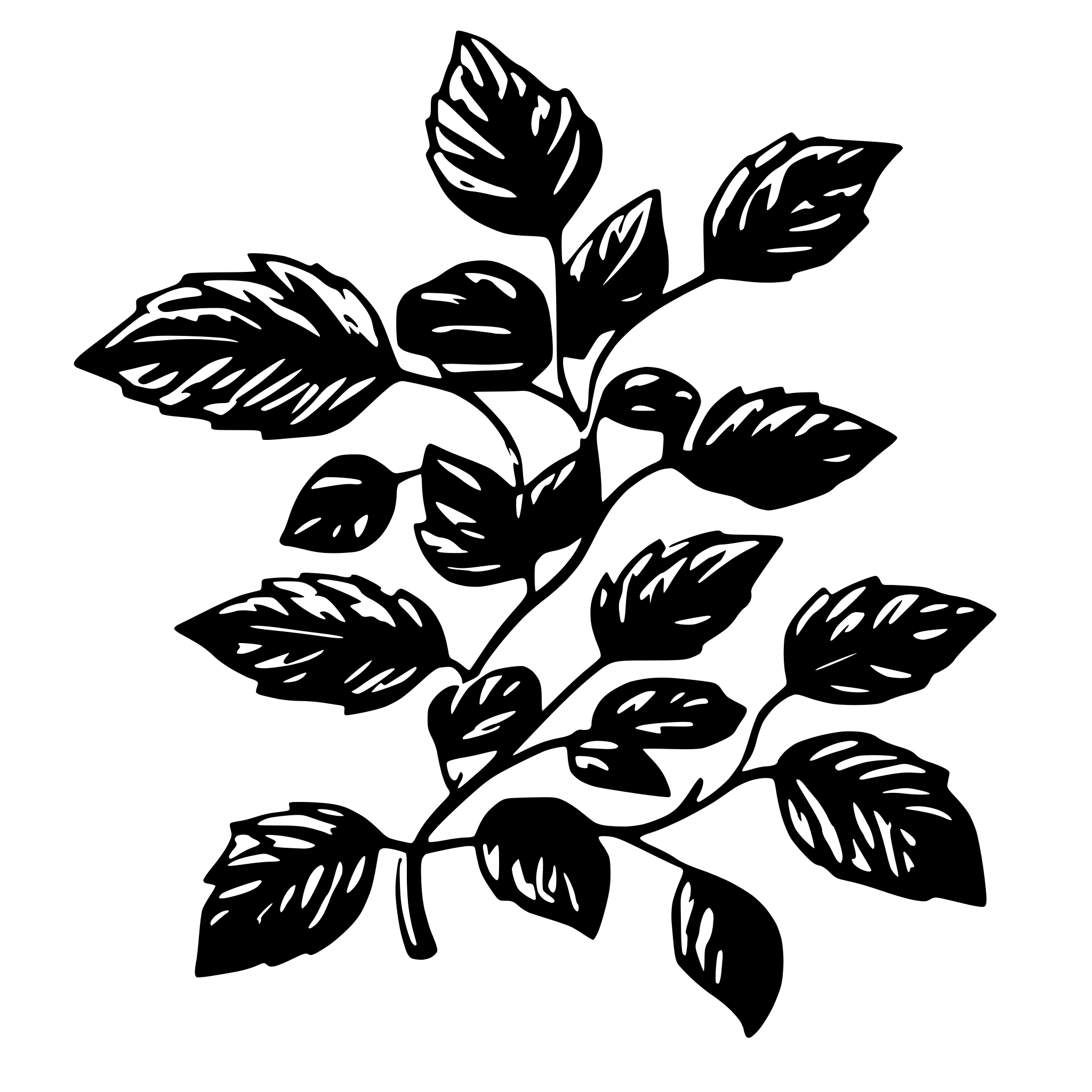 AI-generated SVG of 'winter berry leaves and vines'