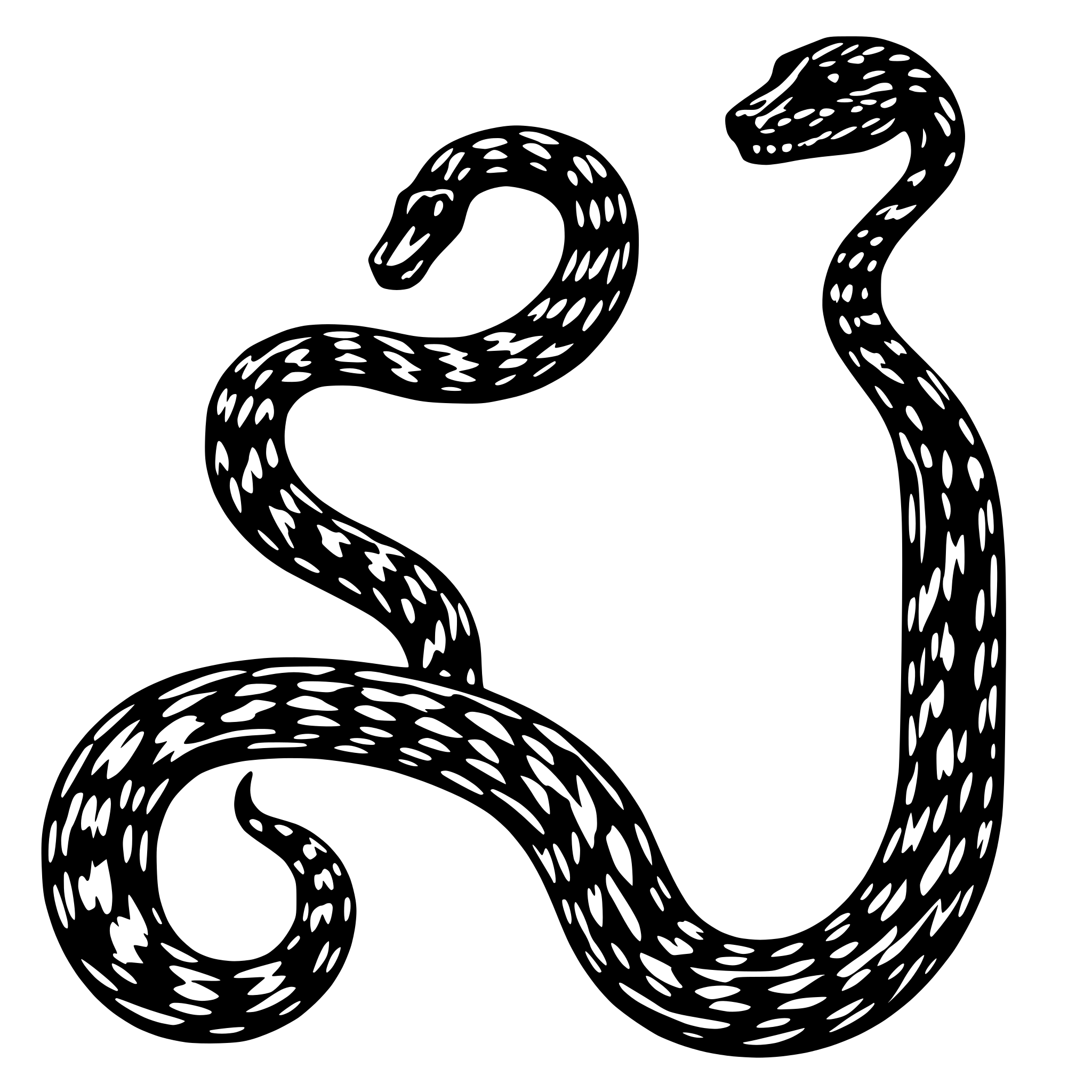 AI-generated SVG of 'Generate a snake. It will be placed on snake and ladder game.I need only one snake.I will reuse it.That one snake should be of S shape.'