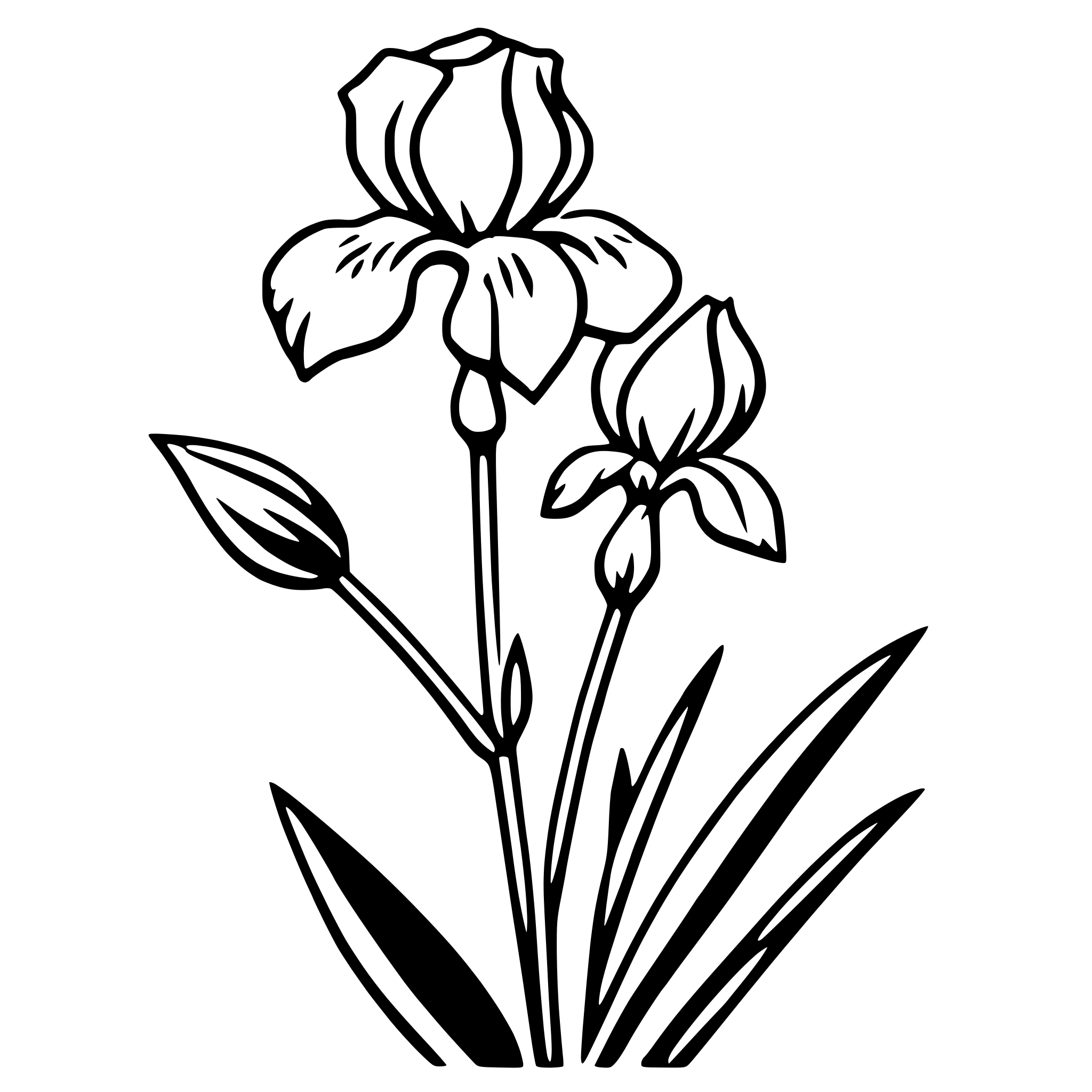 AI-generated SVG of 'iris'