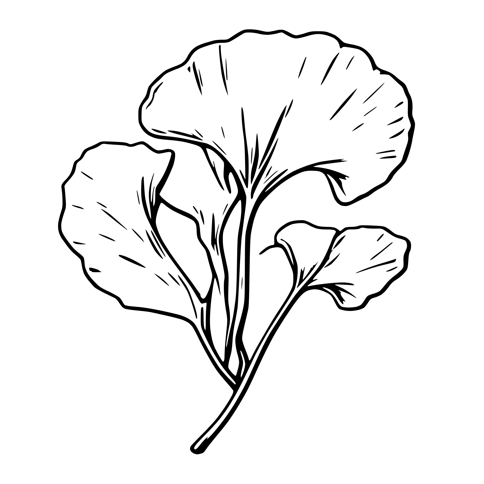 AI-generated SVG of 'ginkgo biloba leaf'