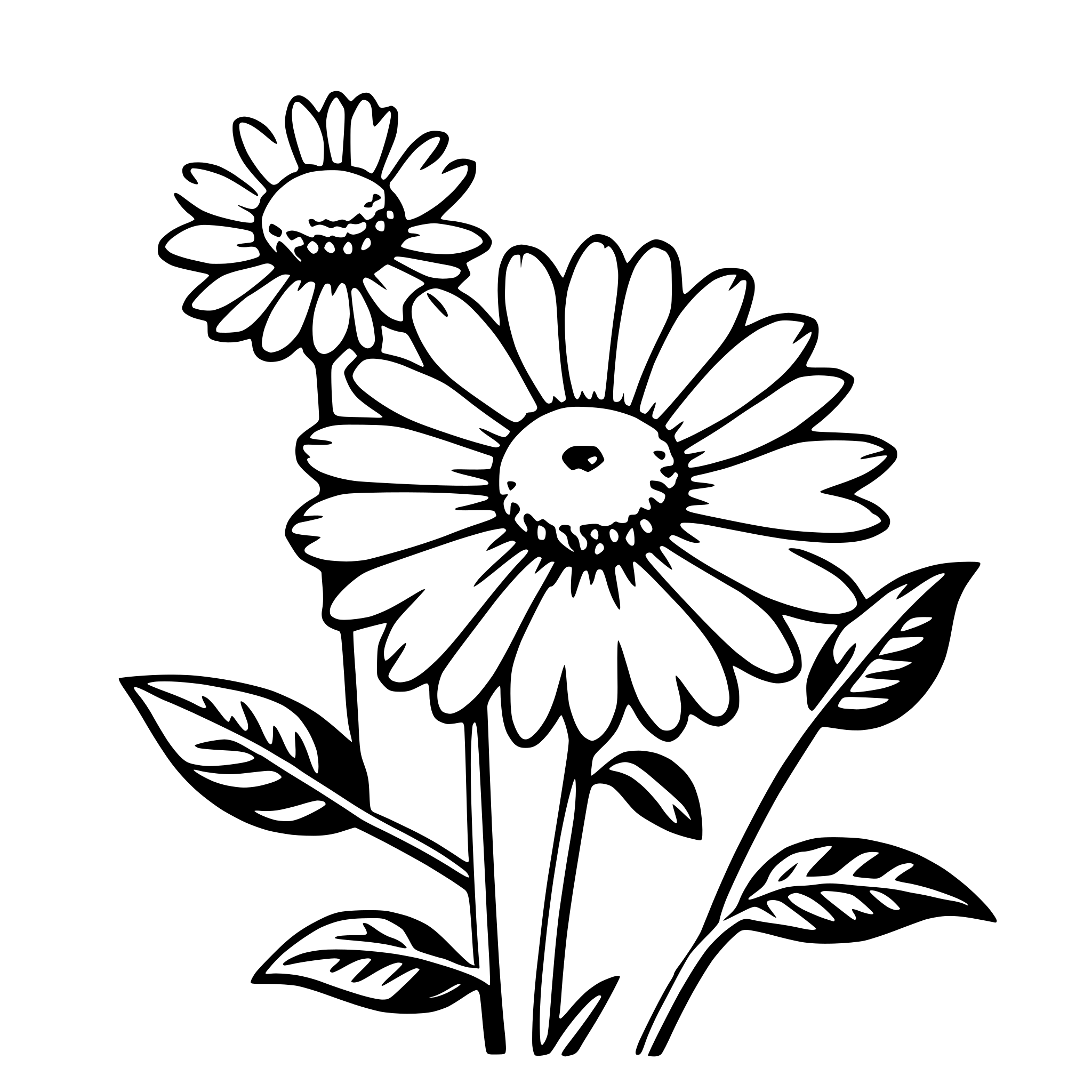 AI-generated SVG of 'aster'