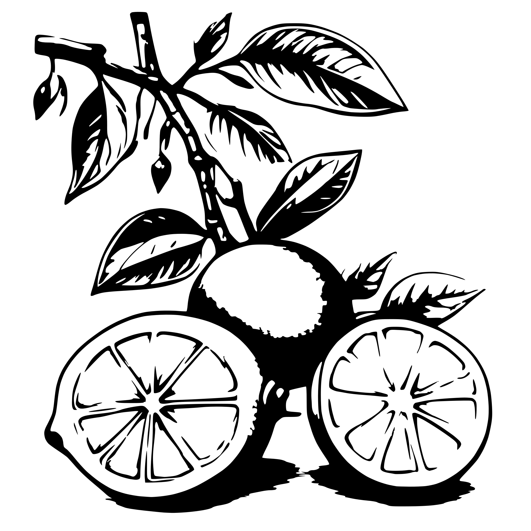 AI-generated SVG of a coloured Drawing of two lemons on a branch with orange blossom