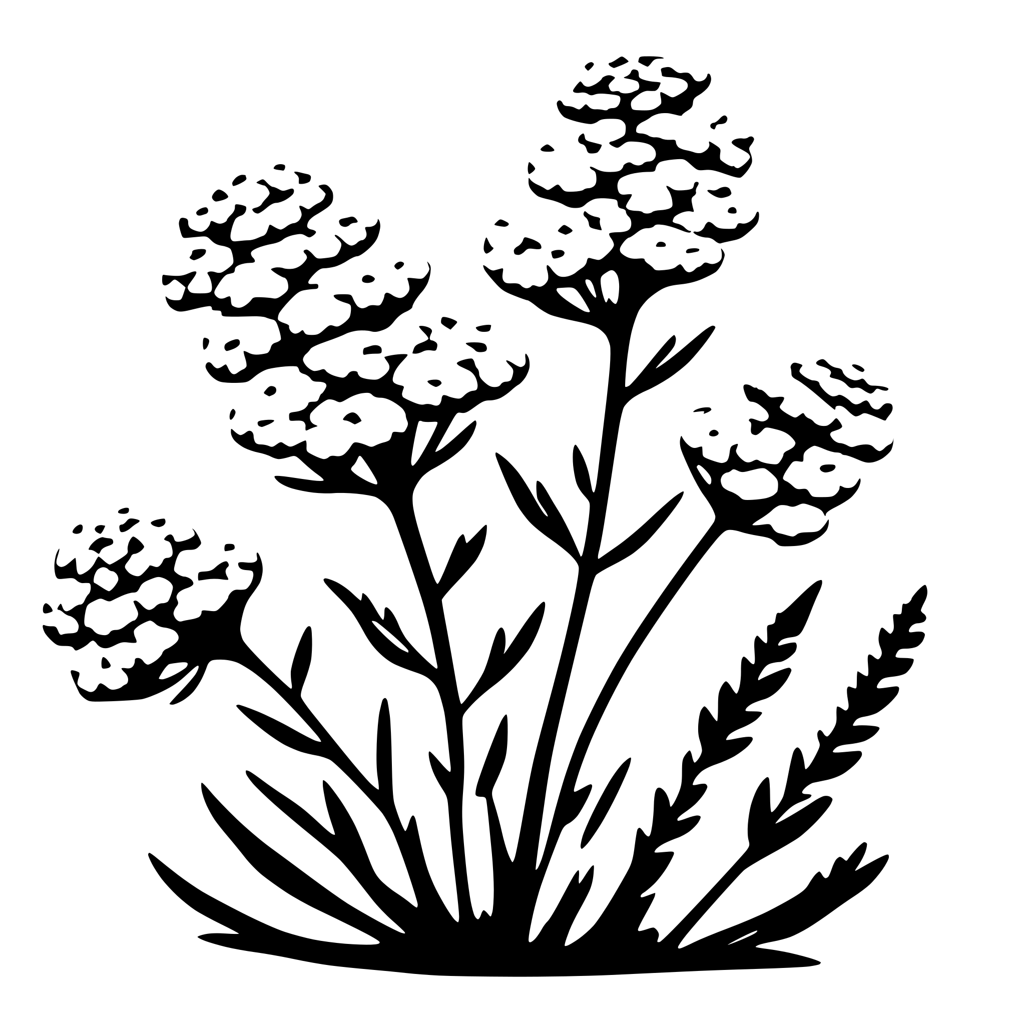 AI-generated SVG of 'sing yarrow plant'