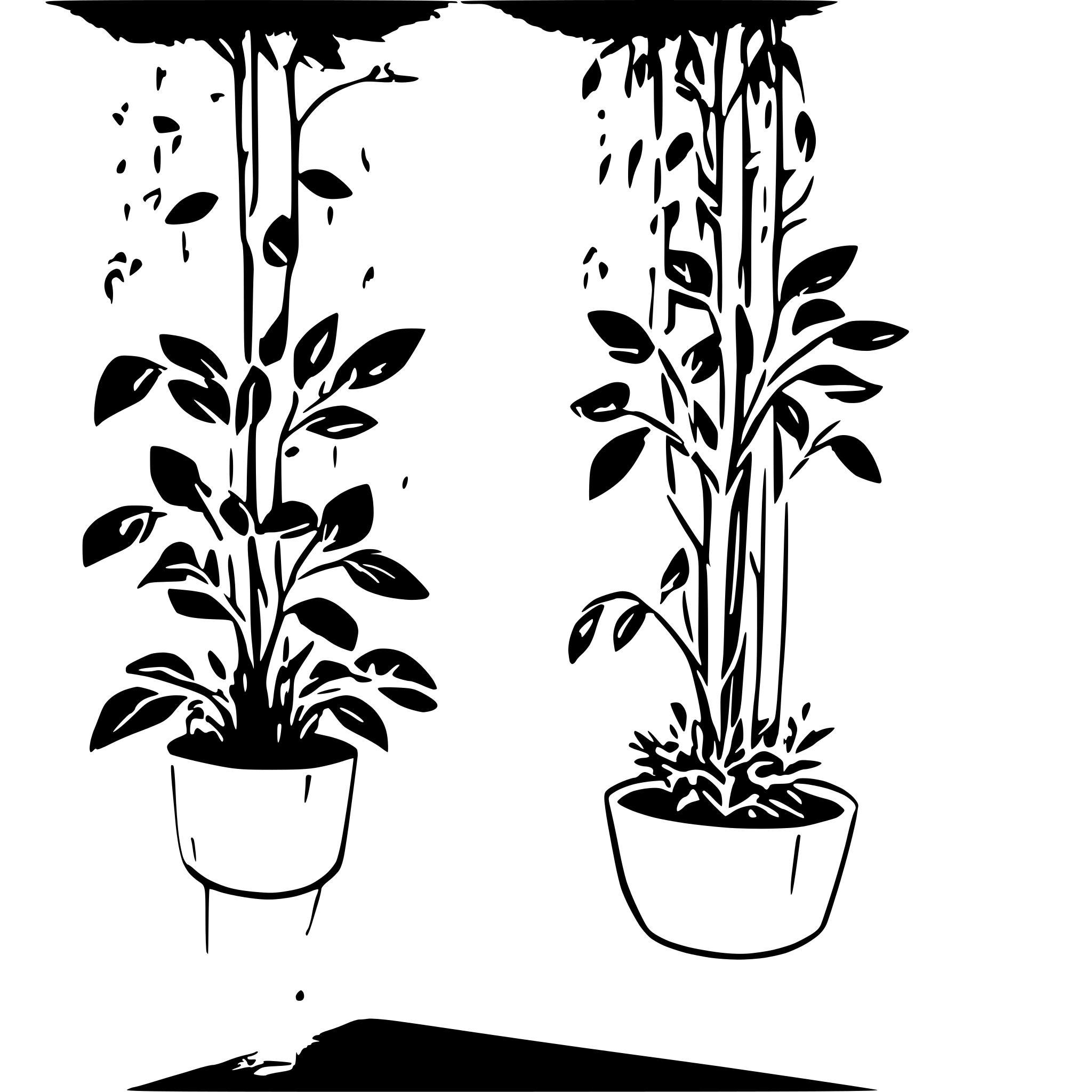 AI-generated SVG of a Create a research-oriented diagram depicting the aeroponic farming method. In this diagram, show plants suspended in a vertical structure, with their roots hanging freely in a mist chamber. The roots are regularly sprayed with a fine mist of nutrient-rich water, delivered by misting nozzles connected to a reservoir. Include a nutrient solution tank, water pump, and misting system with labeled arrows indicating the flow of water and nutrients. The diagram should also highlight a ventilation syste