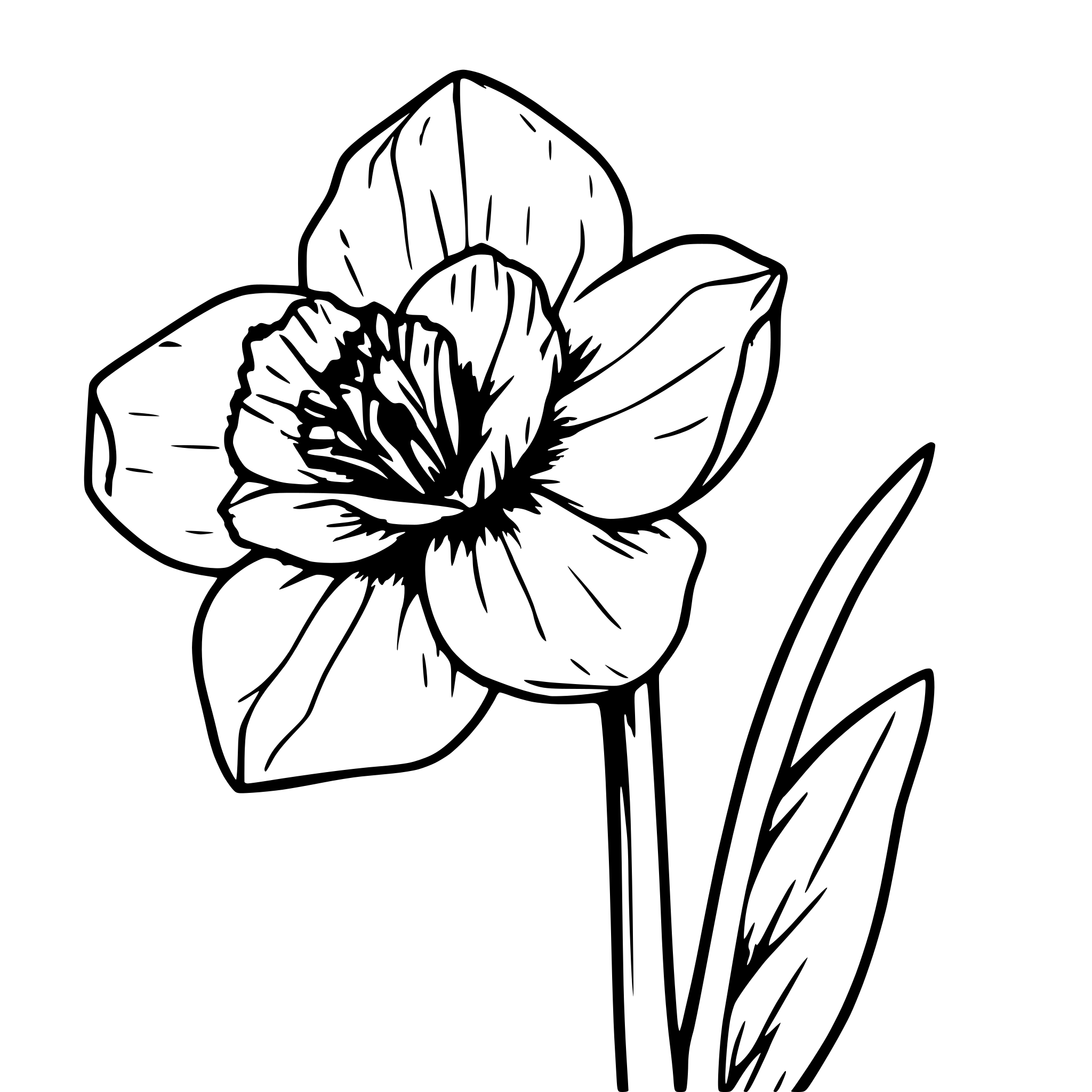AI-generated SVG of a Head of a daffodil