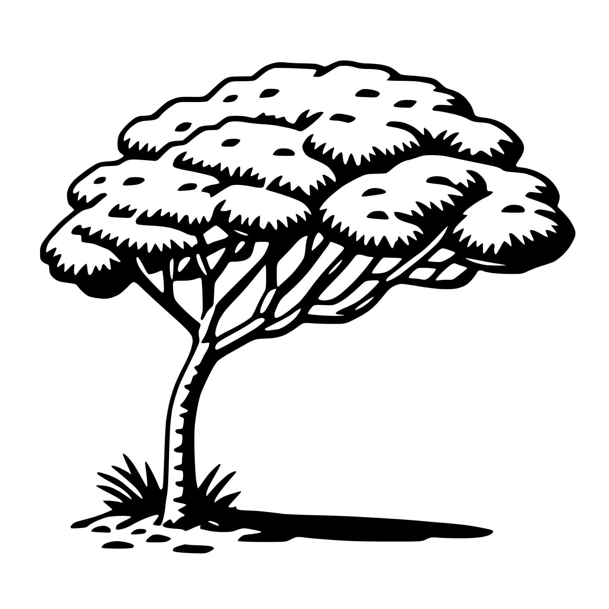 AI-generated SVG of 'acacia tree'