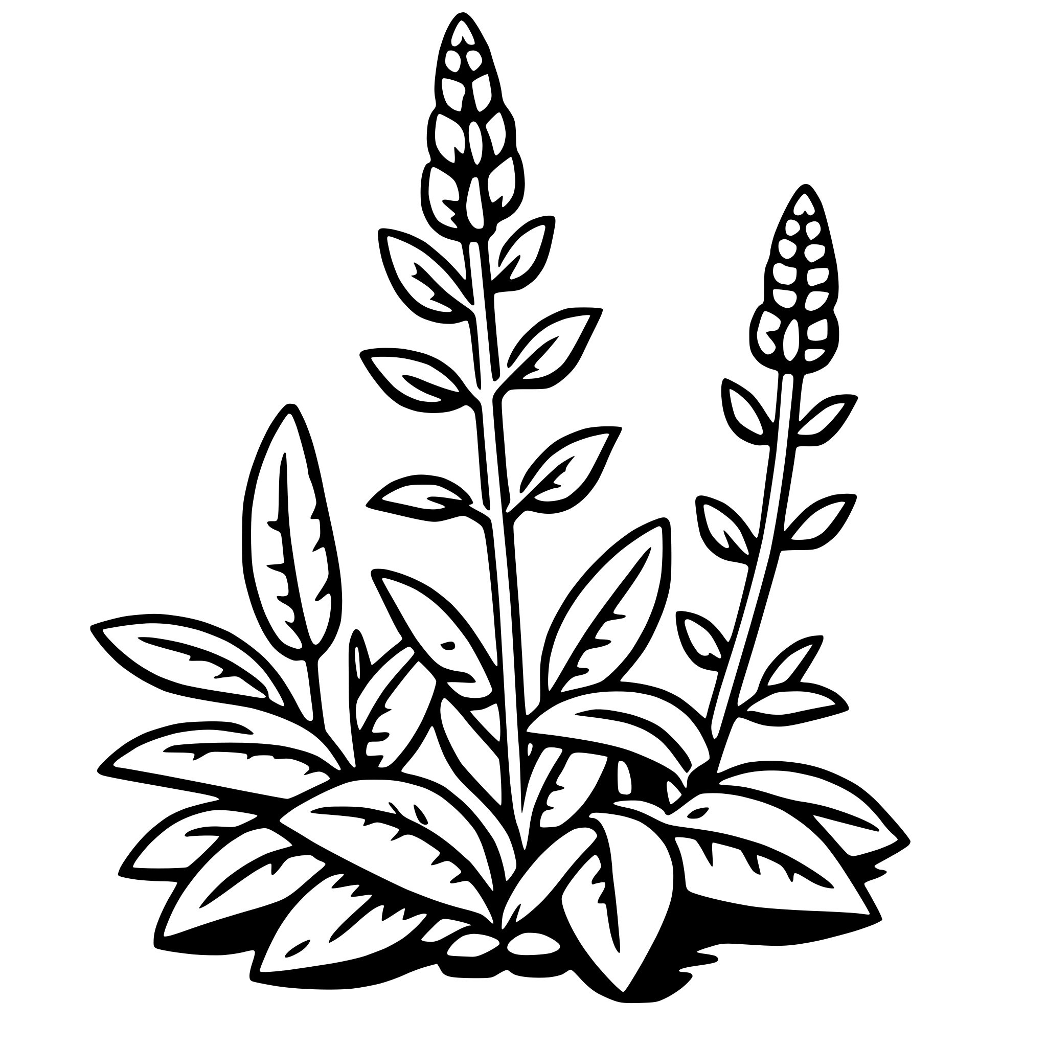 The SVG depicts two stylized plants with elongated leaves and spiky seed pods. The plants are positioned side by side, with the taller one on the left and the shorter one on the right. The leaves are detailed with veins and have a slightly curved shape. The seed pods are pointed and have a textured appearance, suggesting a seed-like structure. The plants are set against a plain background, and there is no interaction between the plants or with any other objects. The SVG is simple and does not contain any additional elements or actions. 