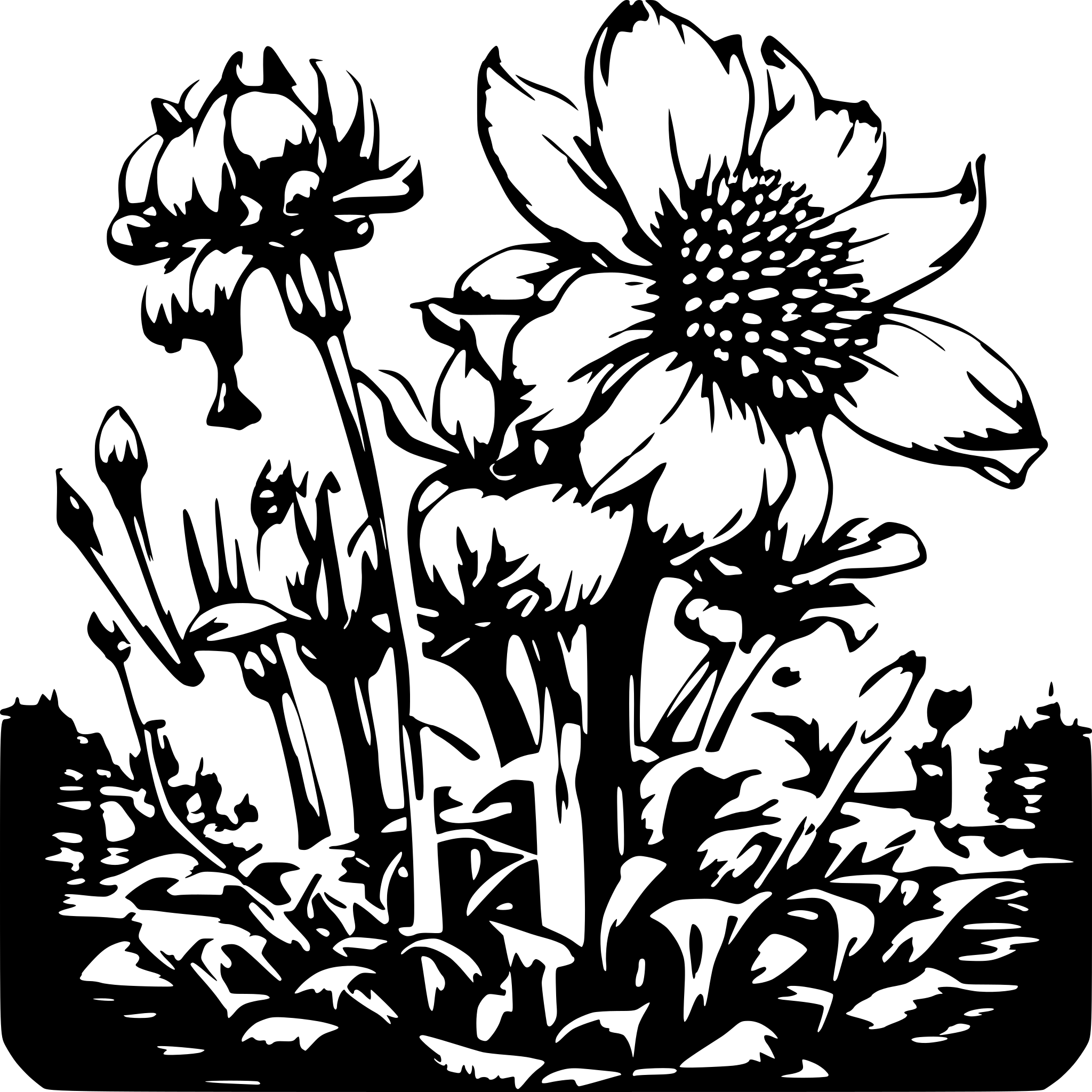 AI-generated SVG of 'Crown Imperial'