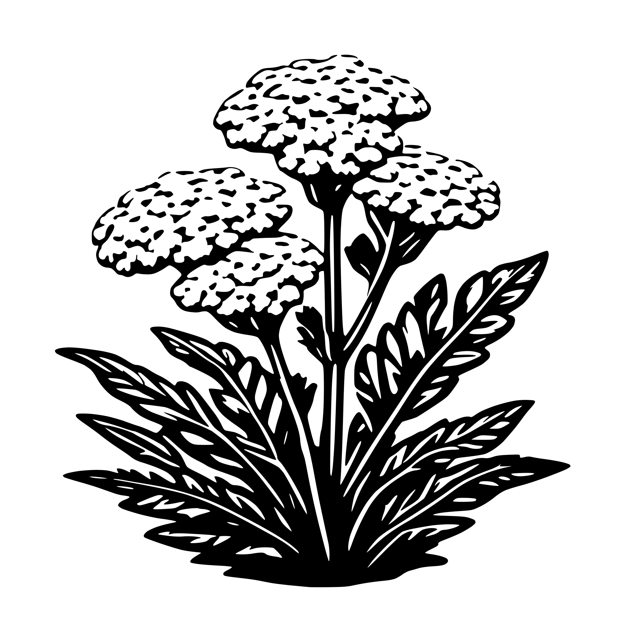 AI-generated SVG of a yarrow plant