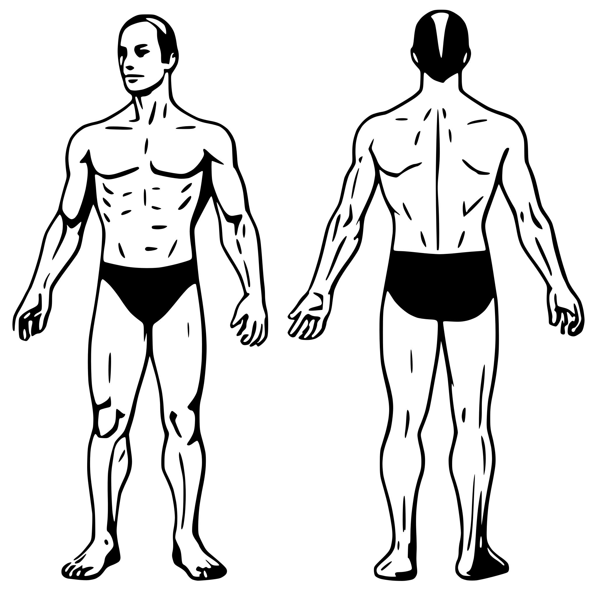 AI-generated SVG of a ""Generate an SVG image of the main muscle groups of the human body in two views: front and back. Include the groups: chest and back, waist, arm, forearm, glutes, leg and calf. Each muscle group should be on its own layer for individual recognition in a browser. Clear, separate layout for easy identification." SVG Bundle