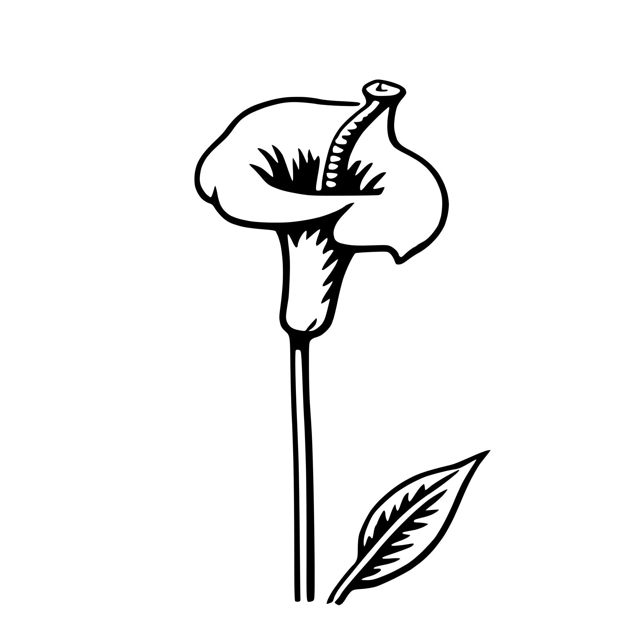 AI-generated SVG of a calla lily