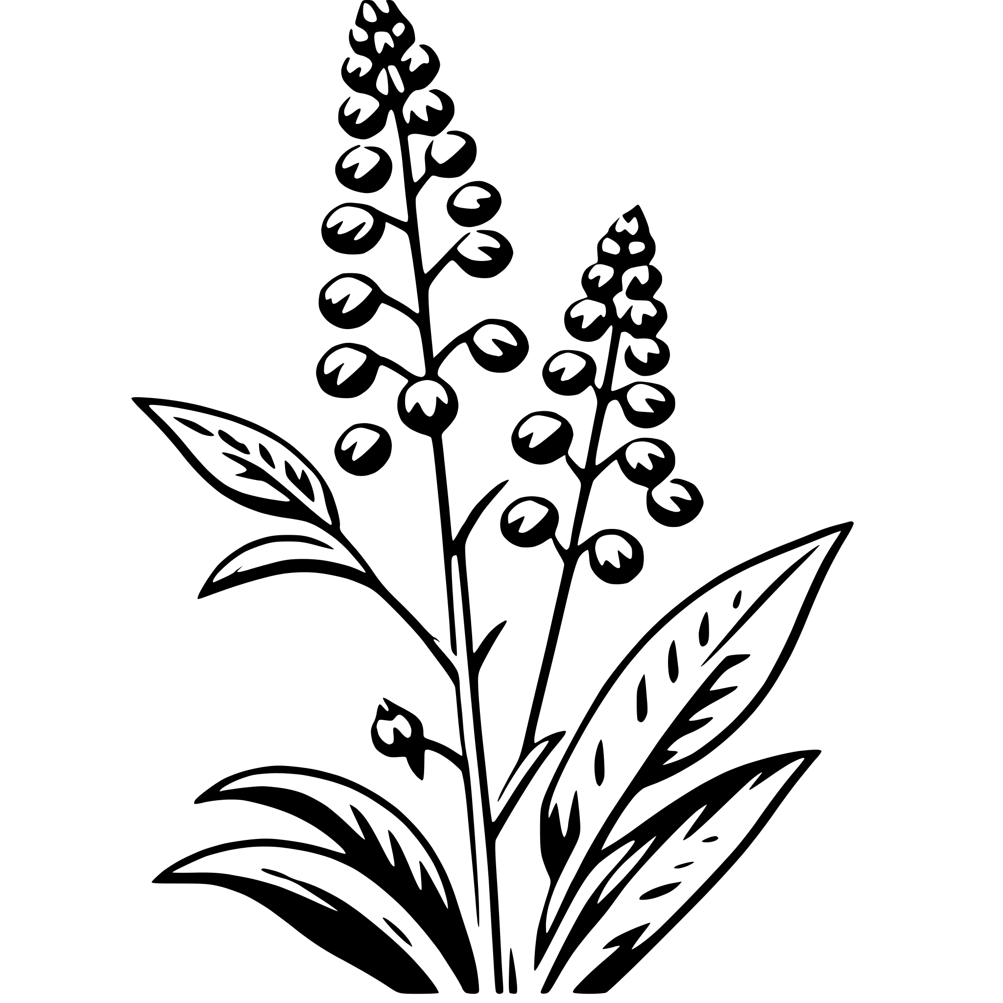 AI-generated SVG of 'delphinium'