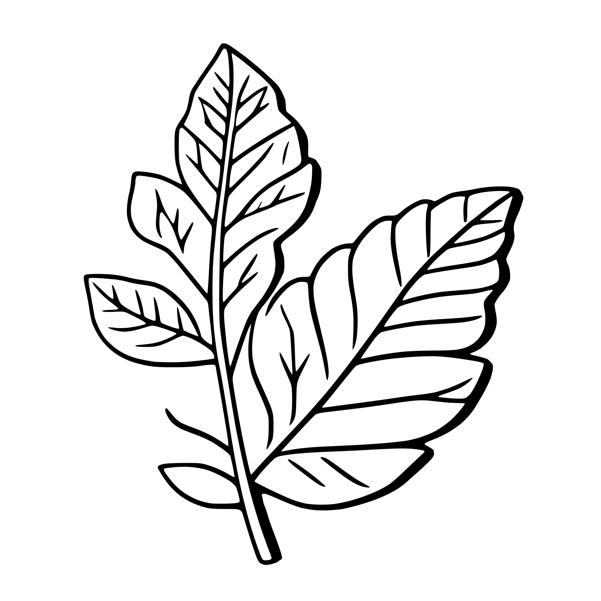 AI-generated SVG of a fern leaves with spirals