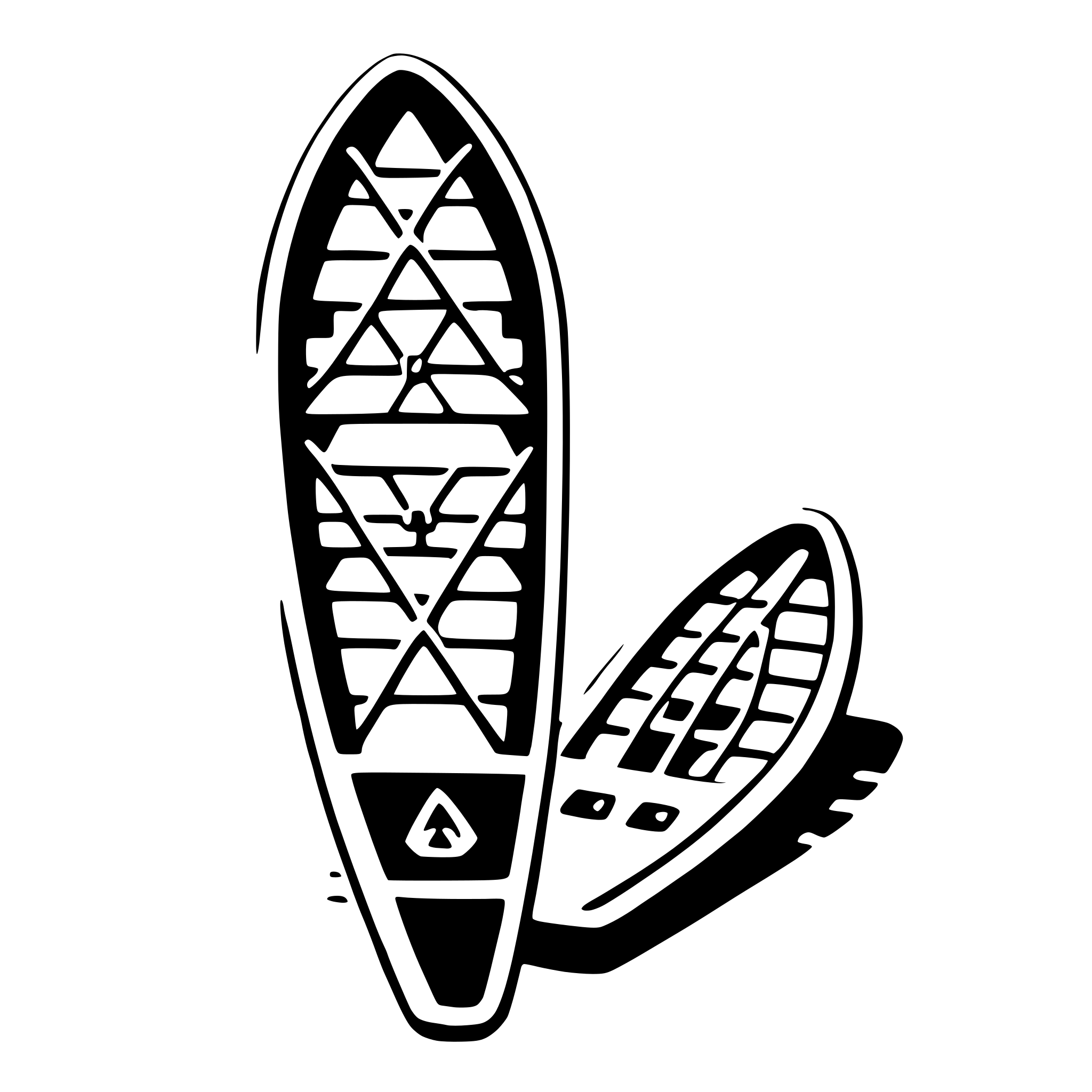 AI-generated SVG of 'snowshoes'
