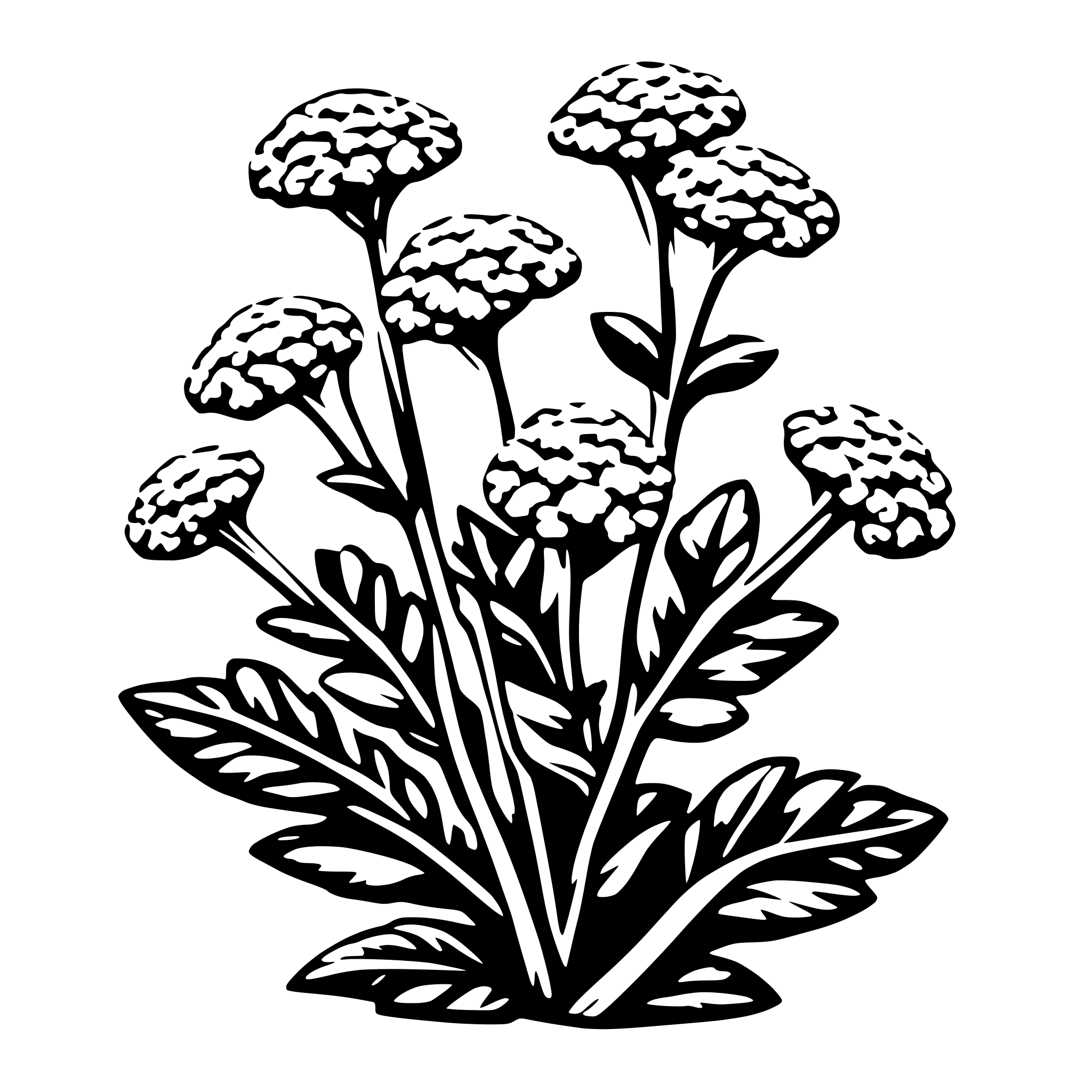 AI-generated SVG of 'yarrow plant'