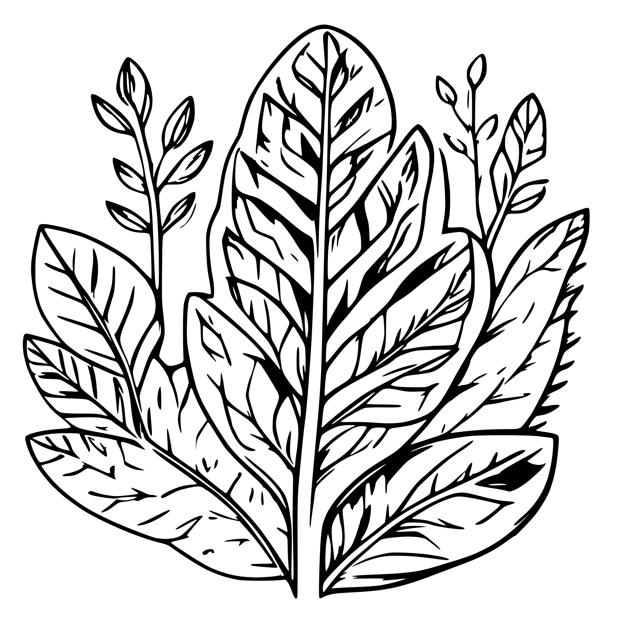 AI-generated SVG of a ida barbarigo multi color artwork