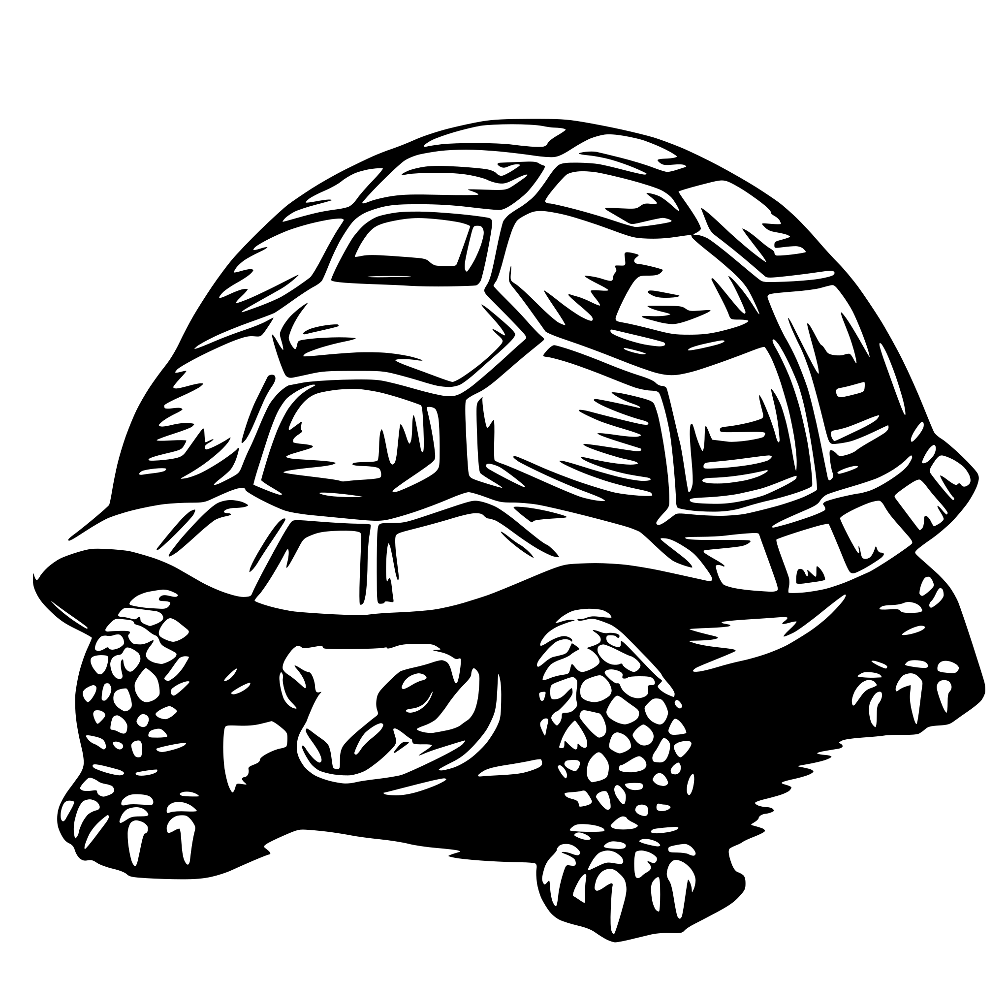AI-generated SVG of a Greek tortoise