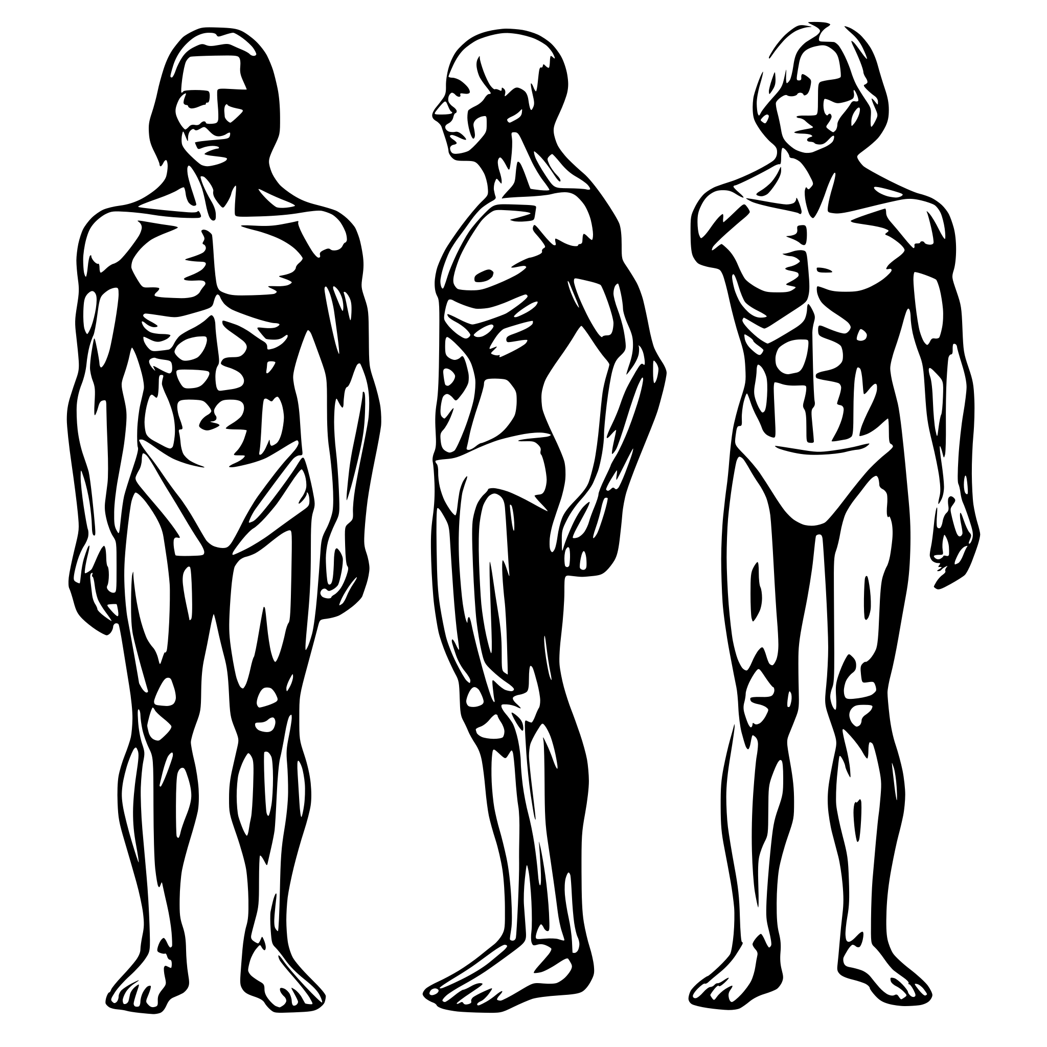 AI-generated SVG of a "Generate an SVG image of the main muscle groups of the human body in two views: front and back. Include the groups: chest and back, waist, arm, forearm, glutes, leg and calf. Each muscle group should be on its own layer for individual recognition in a browser. Clear, separate layout for easy identification.