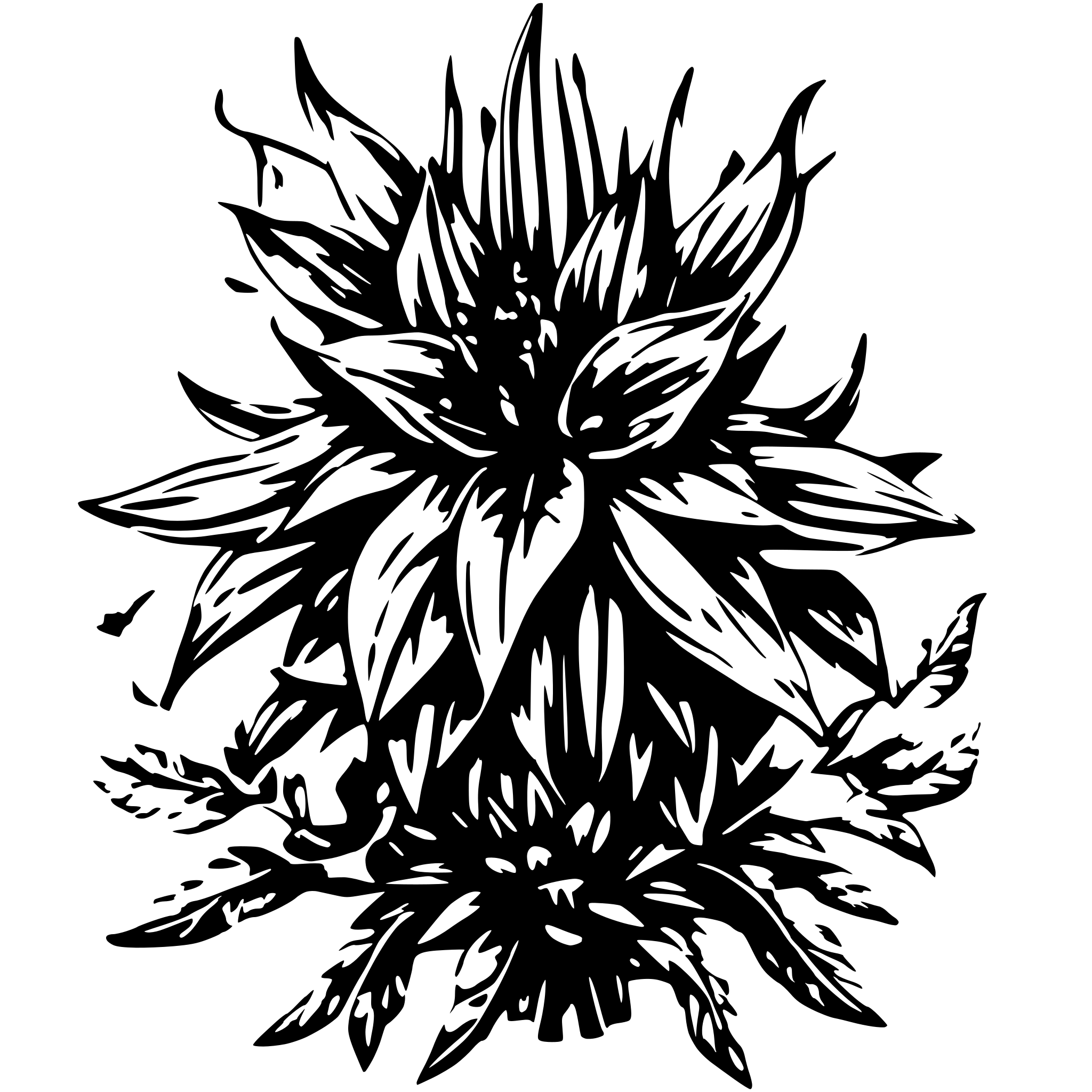 AI-generated SVG of 'Crown Imperial'