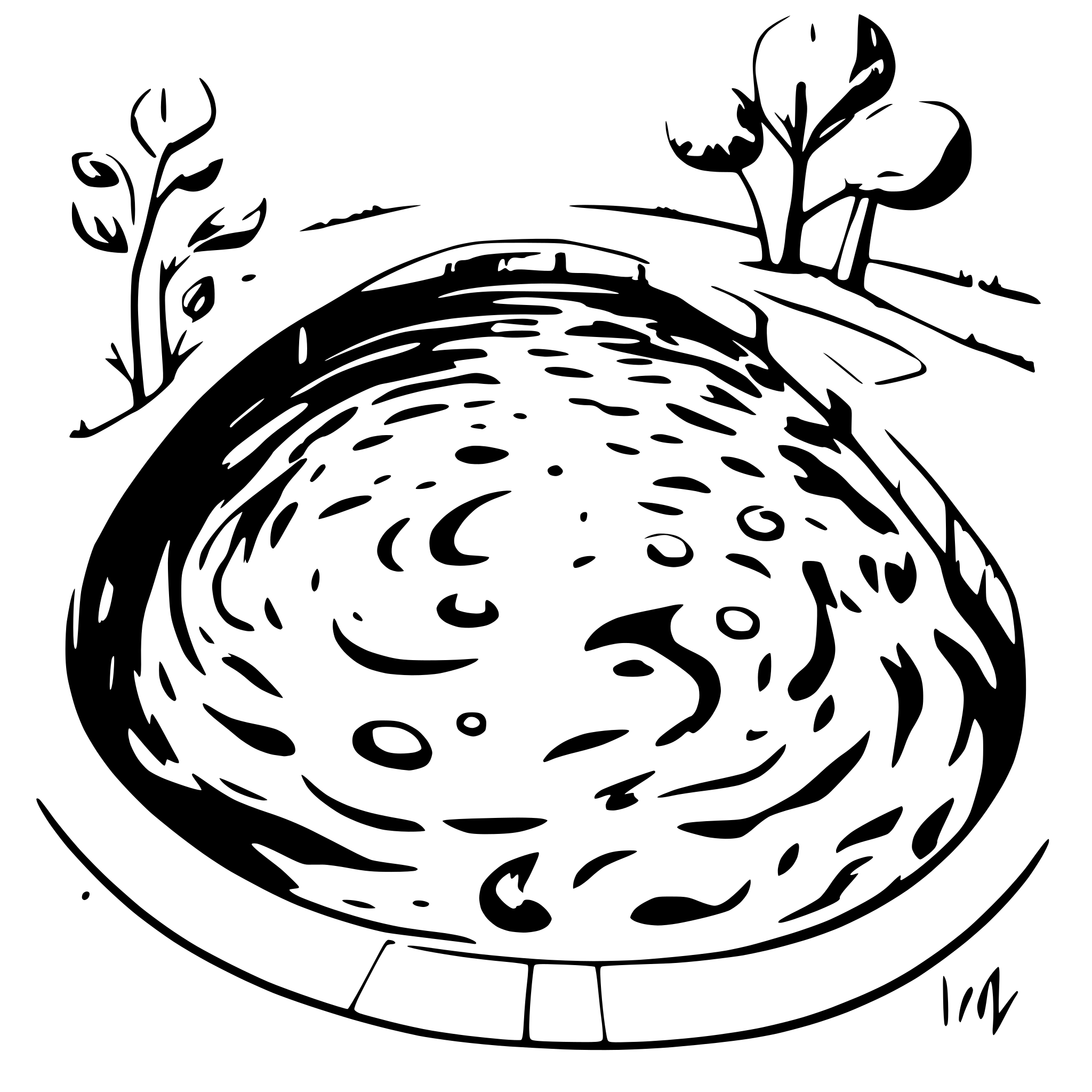 AI-generated SVG of a different kidney swimming pool shapes