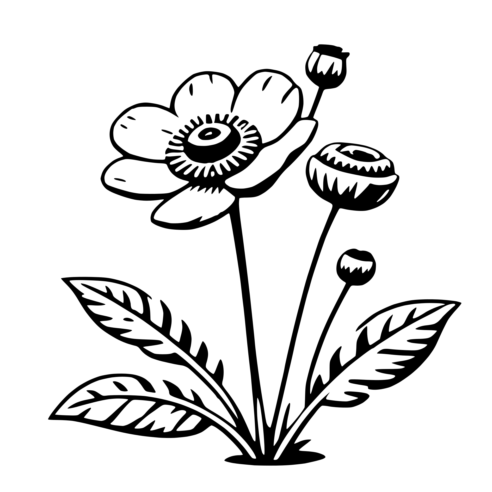 AI-generated SVG of a anemone