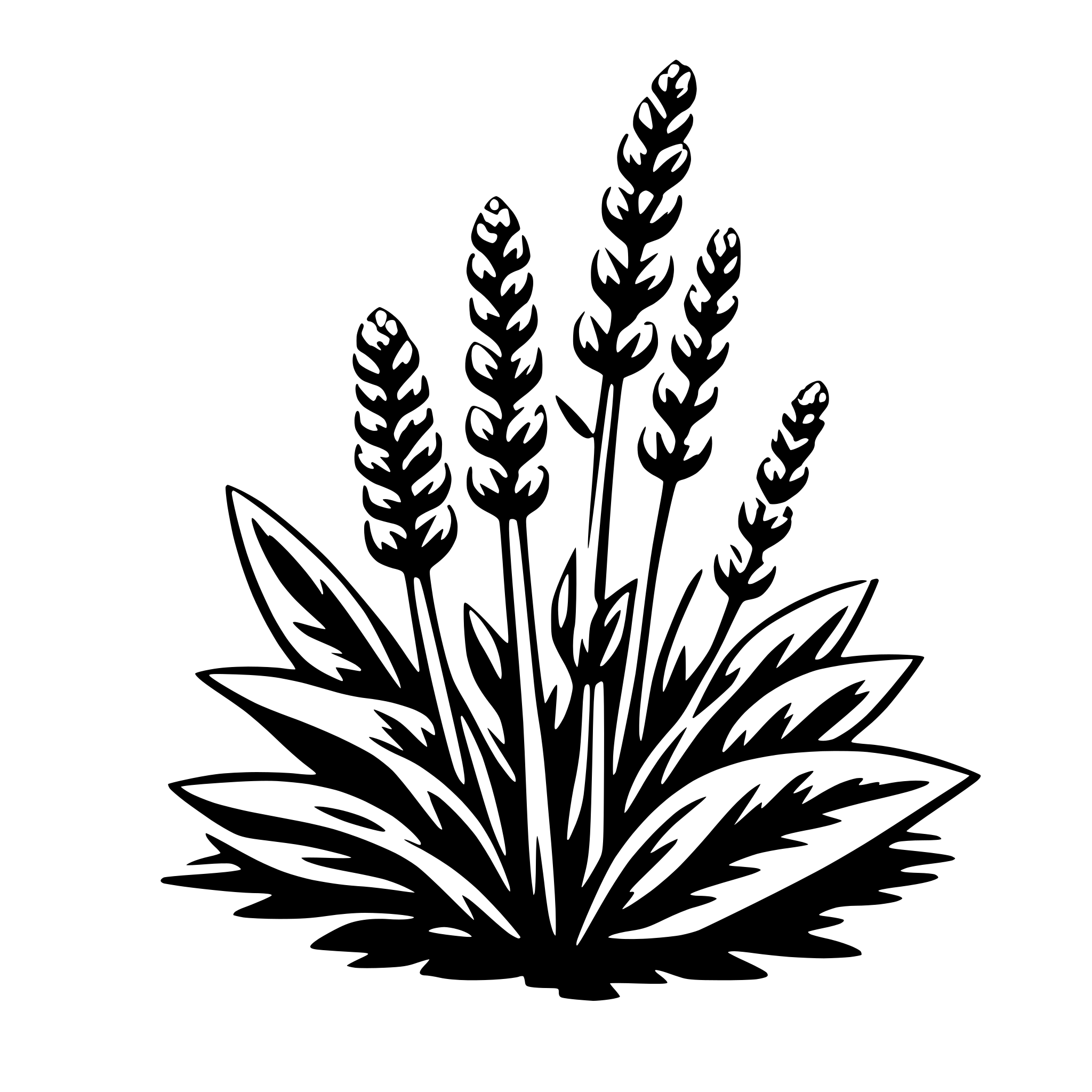 The SVG shows a stylized black and white illustration of a plant with multiple stalks and leaves. The plant appears to be a type of flowering plant, possibly a wildflower or a weed, with elongated leaves and tall, slender stems. The leaves are arranged in a fan-like pattern, and the stems are thin and wiry. The plant is centered in the SVG, and there is no interaction between the objects as it is a single, static SVG. 