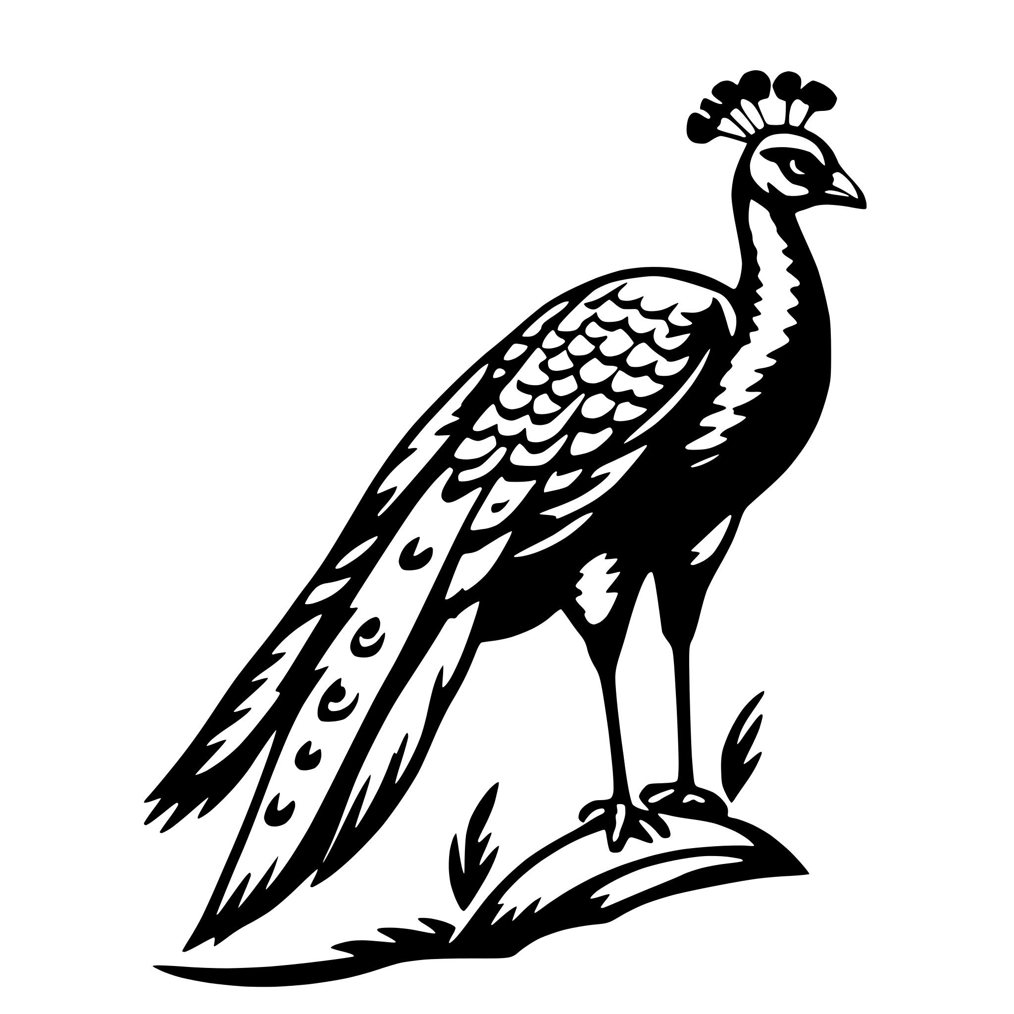 AI-generated SVG of a peacock with feathers