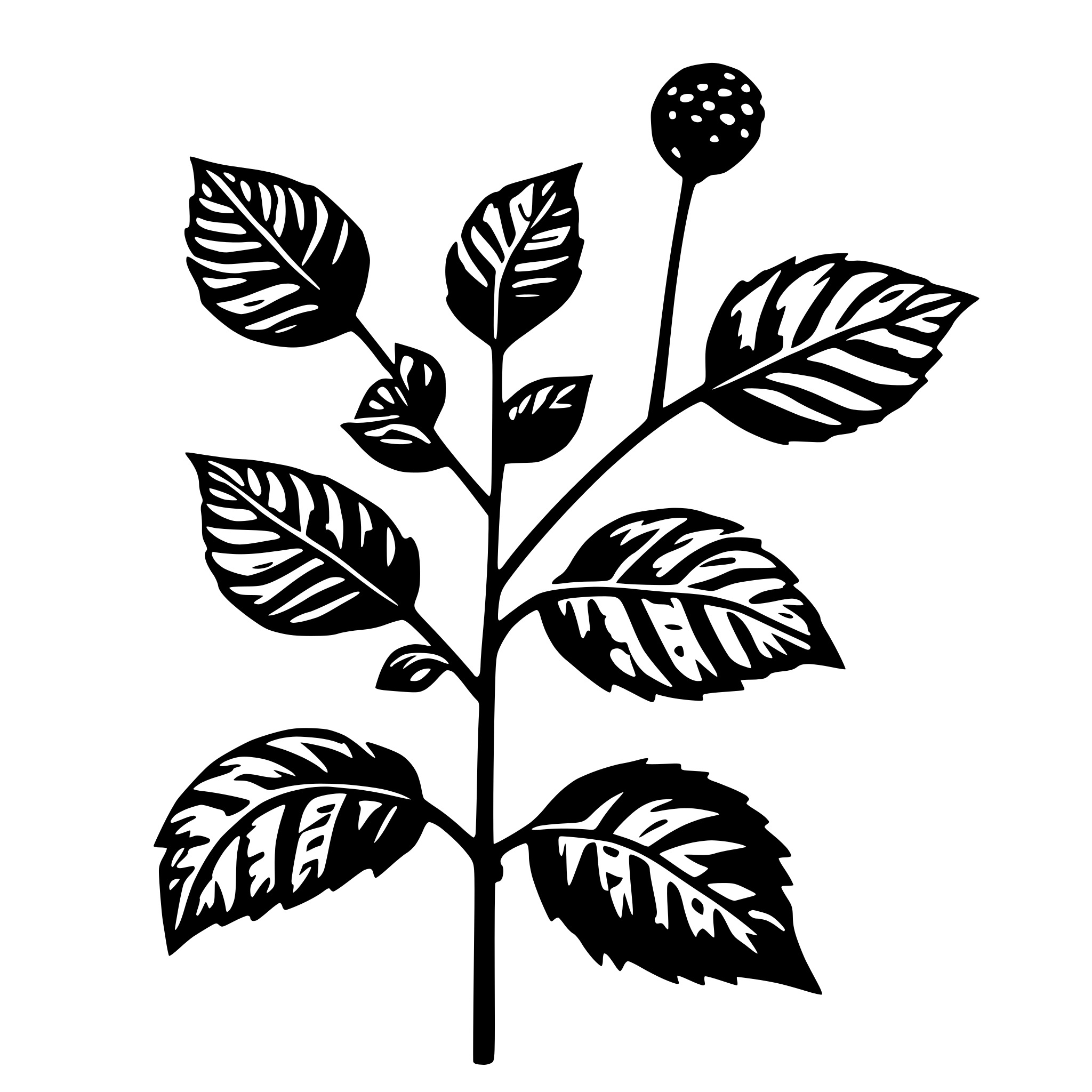 AI-generated SVG of 'spirally coiled bramble stems'