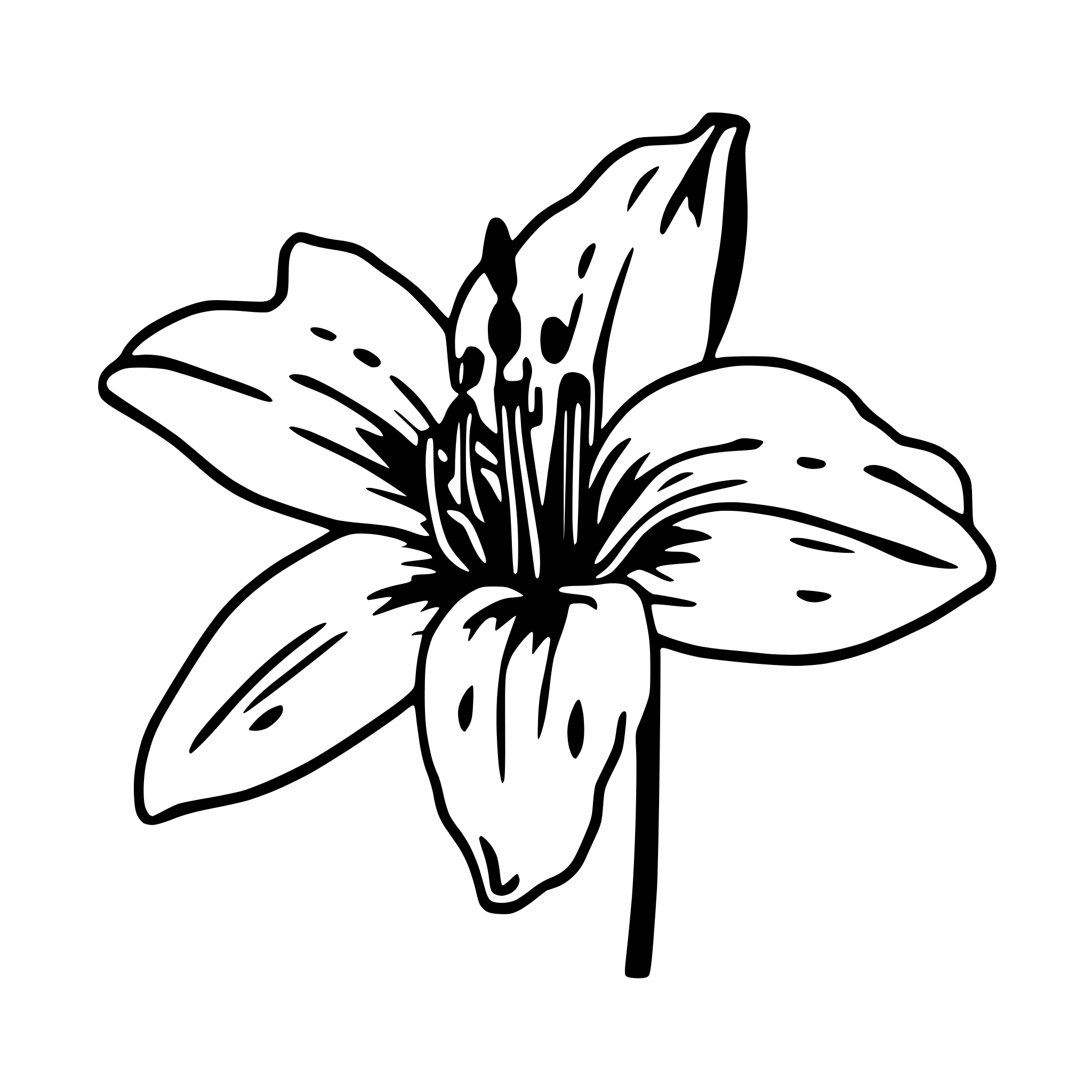 AI-generated SVG of 'simple line tiger lily flower head only'