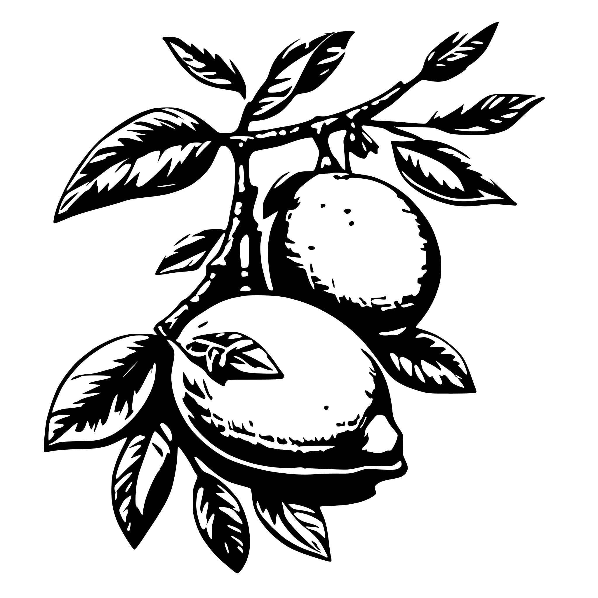 AI-generated SVG of a Drawing of two lemons on a branch with orange blossom AI-generated SVG of a Drawing of two lemons on a branch with orange blossom