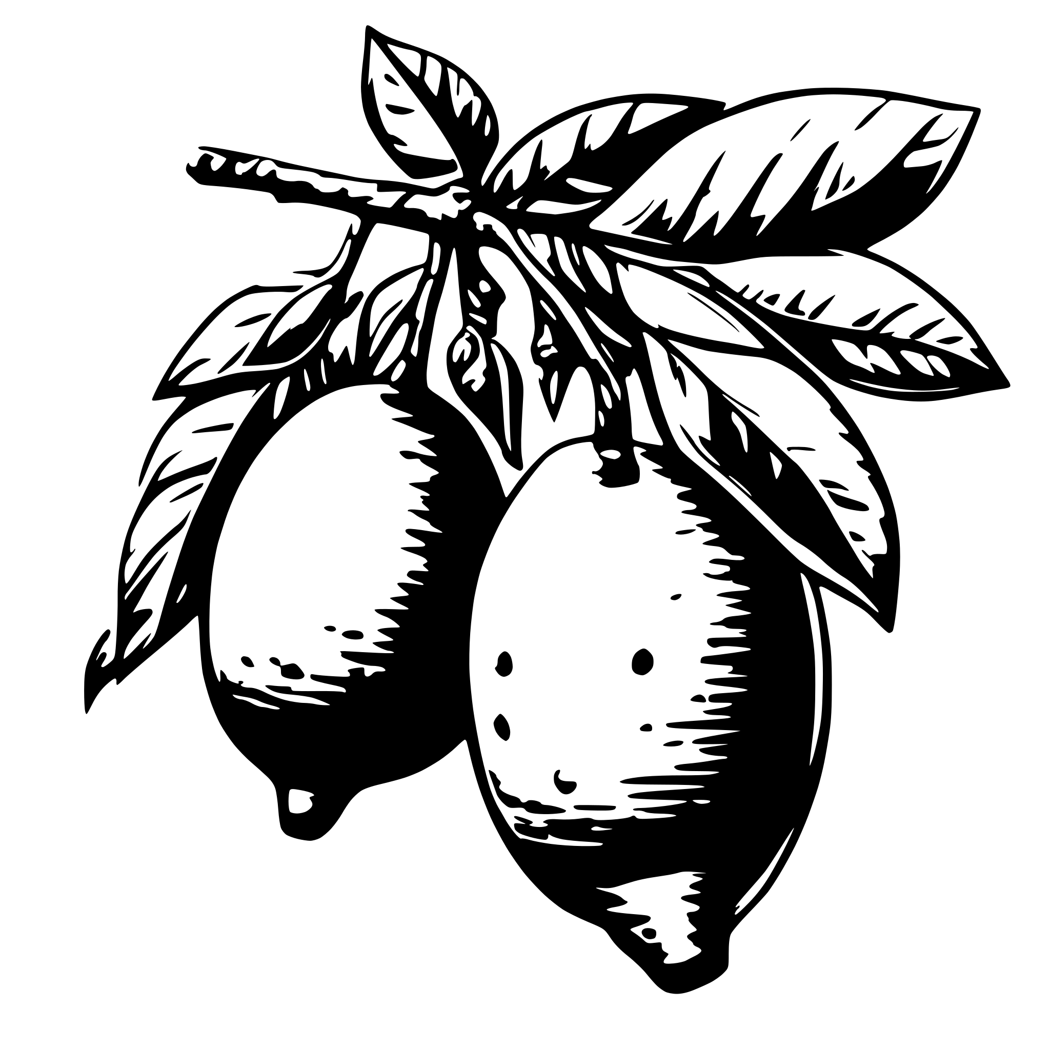 AI-generated SVG of a Drawing of two lemons on a branch with orange blossom AI-generated SVG of a Drawing of two lemons on a branch with orange blossom
