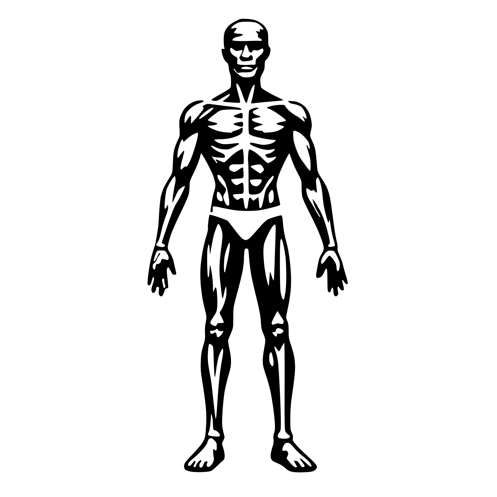 AI-generated SVG of a human body muscles diagram