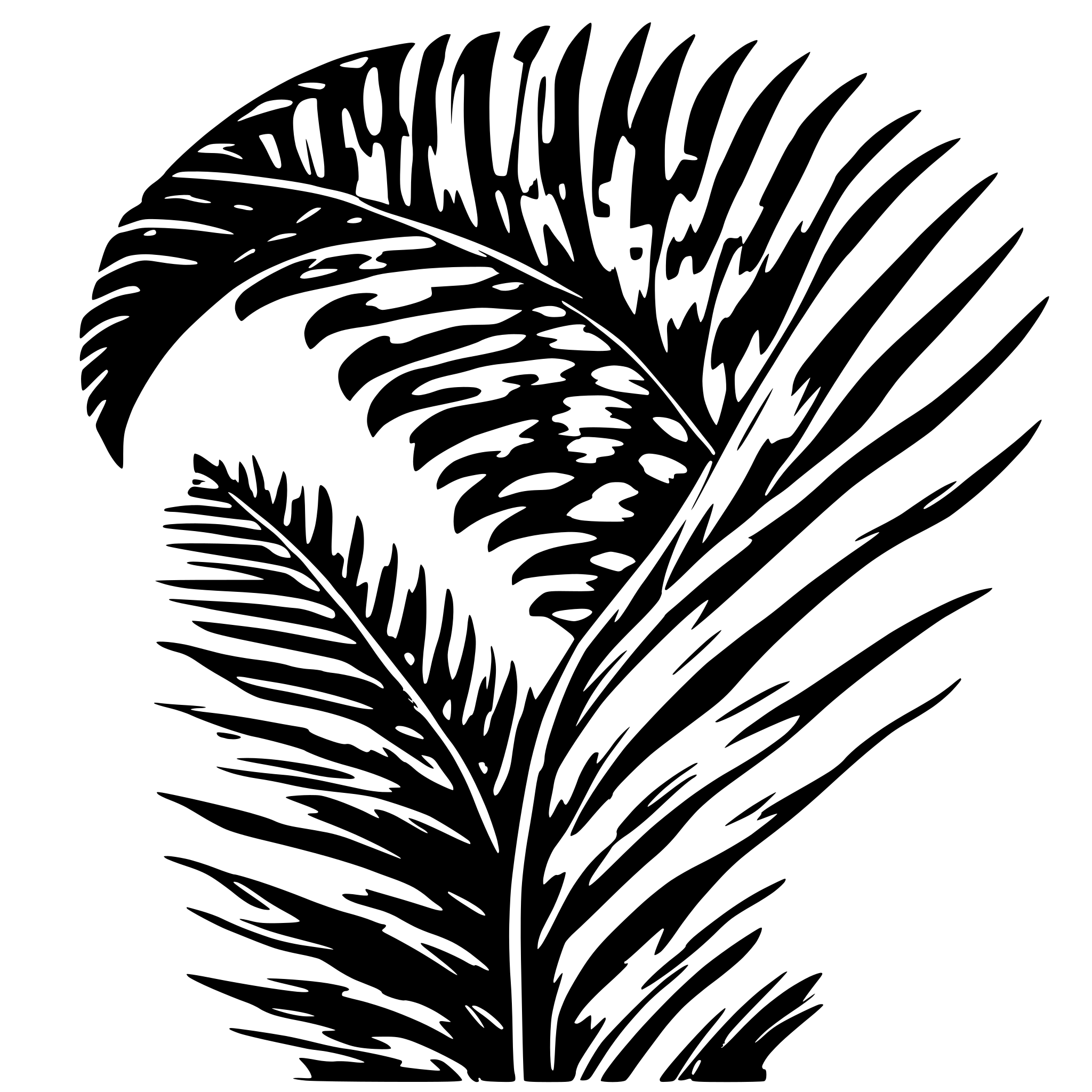 AI-generated SVG of 'palm frond'