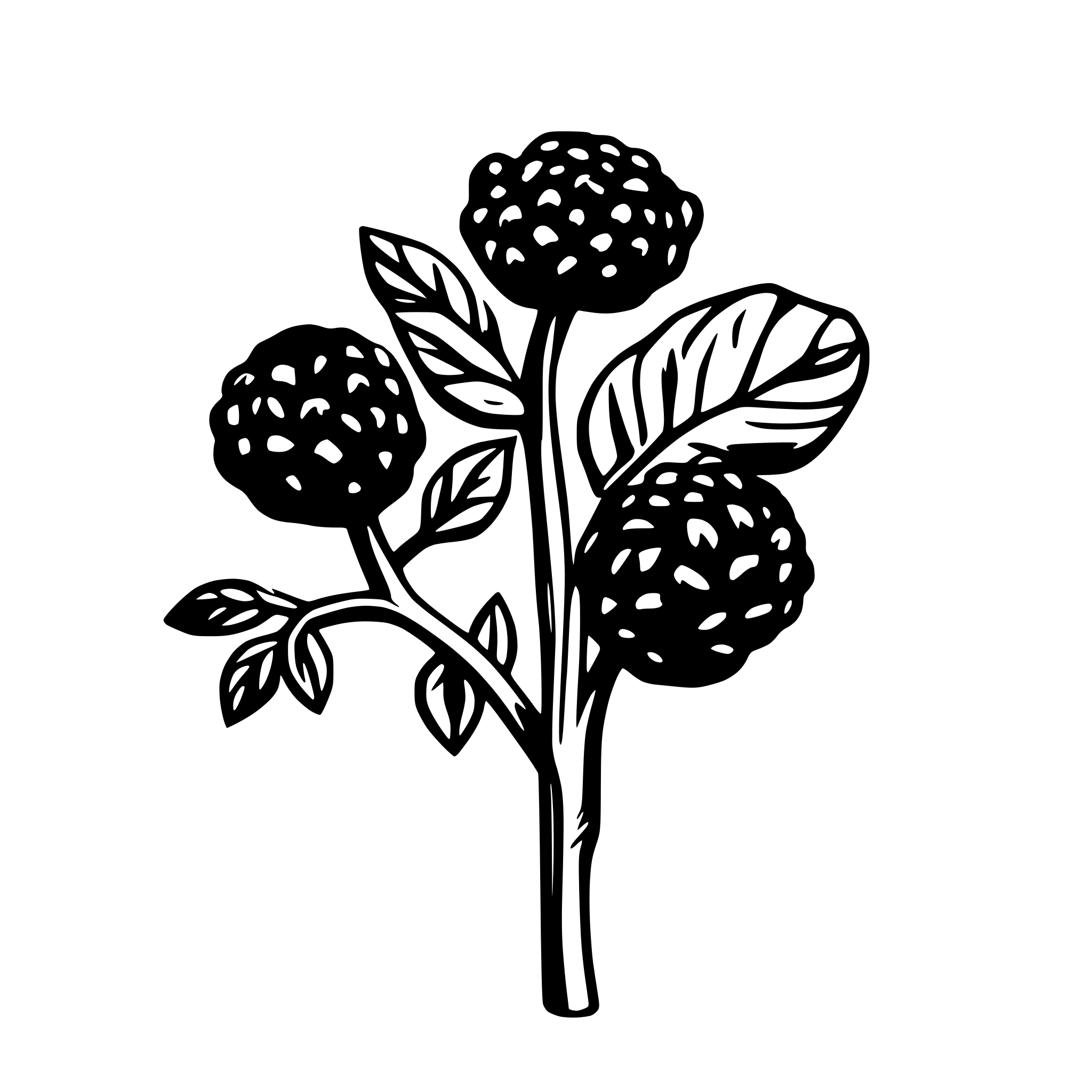 AI-generated SVG of a blackberry bramble stems coiled into spirals