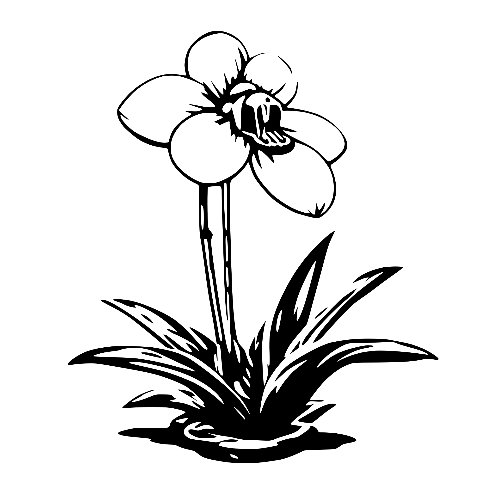 AI-generated SVG of a a paphiophedilum