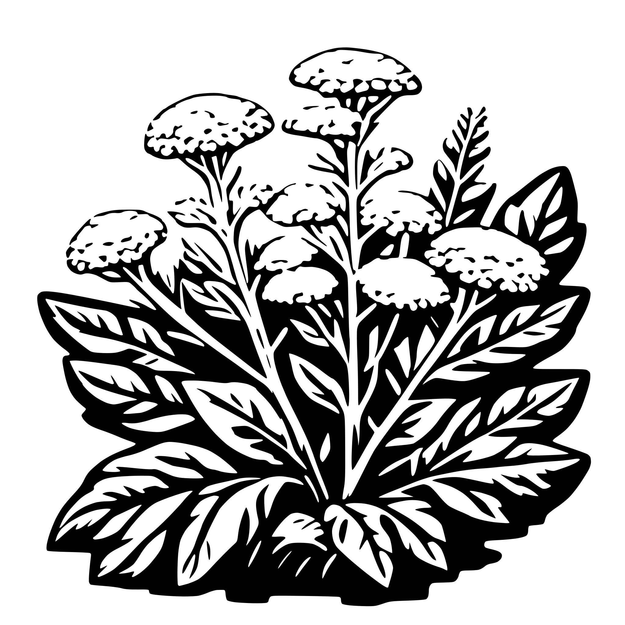 AI-generated SVG of 'yarrow plant'