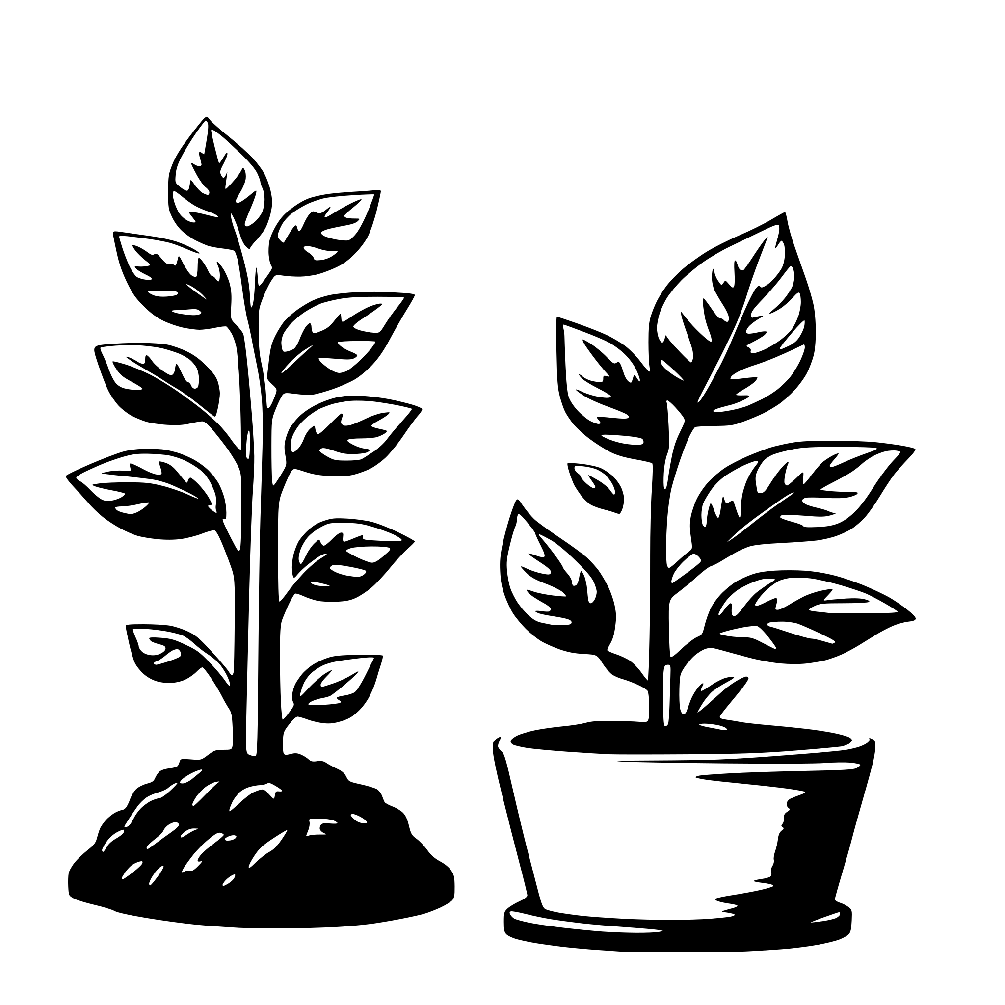 AI-generated SVG of a An infographic illustrating the process of plant growth