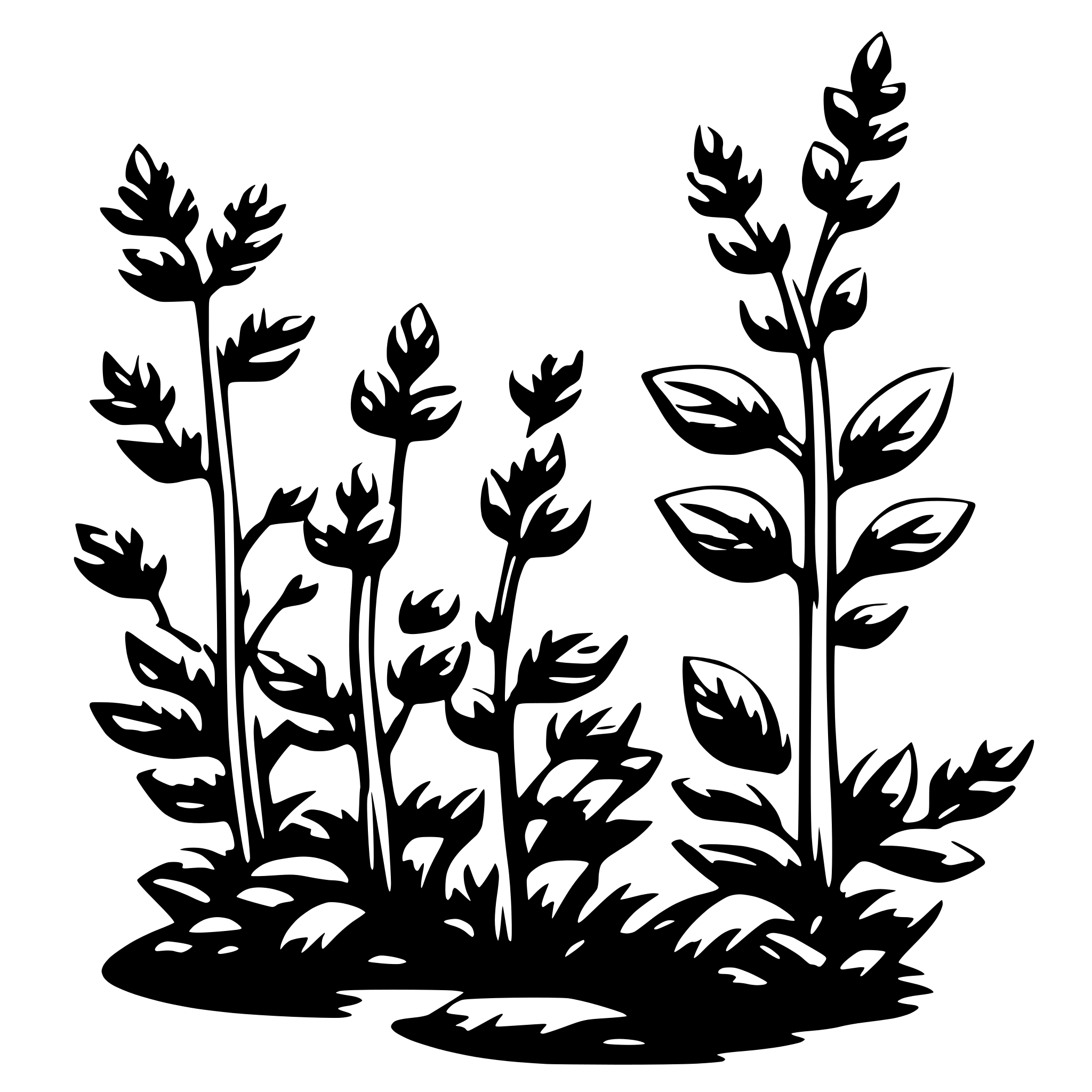 AI-generated SVG of a thyme pant curved
