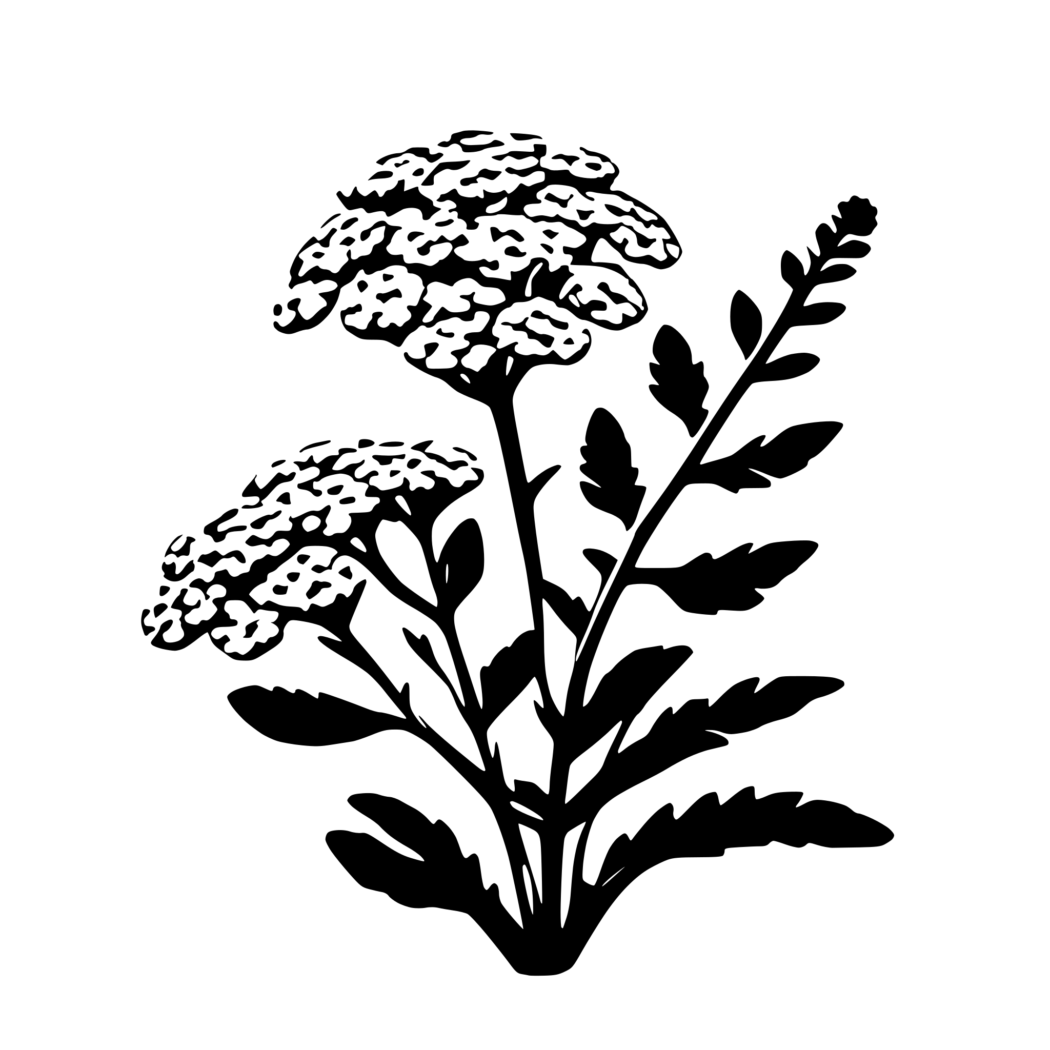 AI-generated SVG of 'yarrow plant'