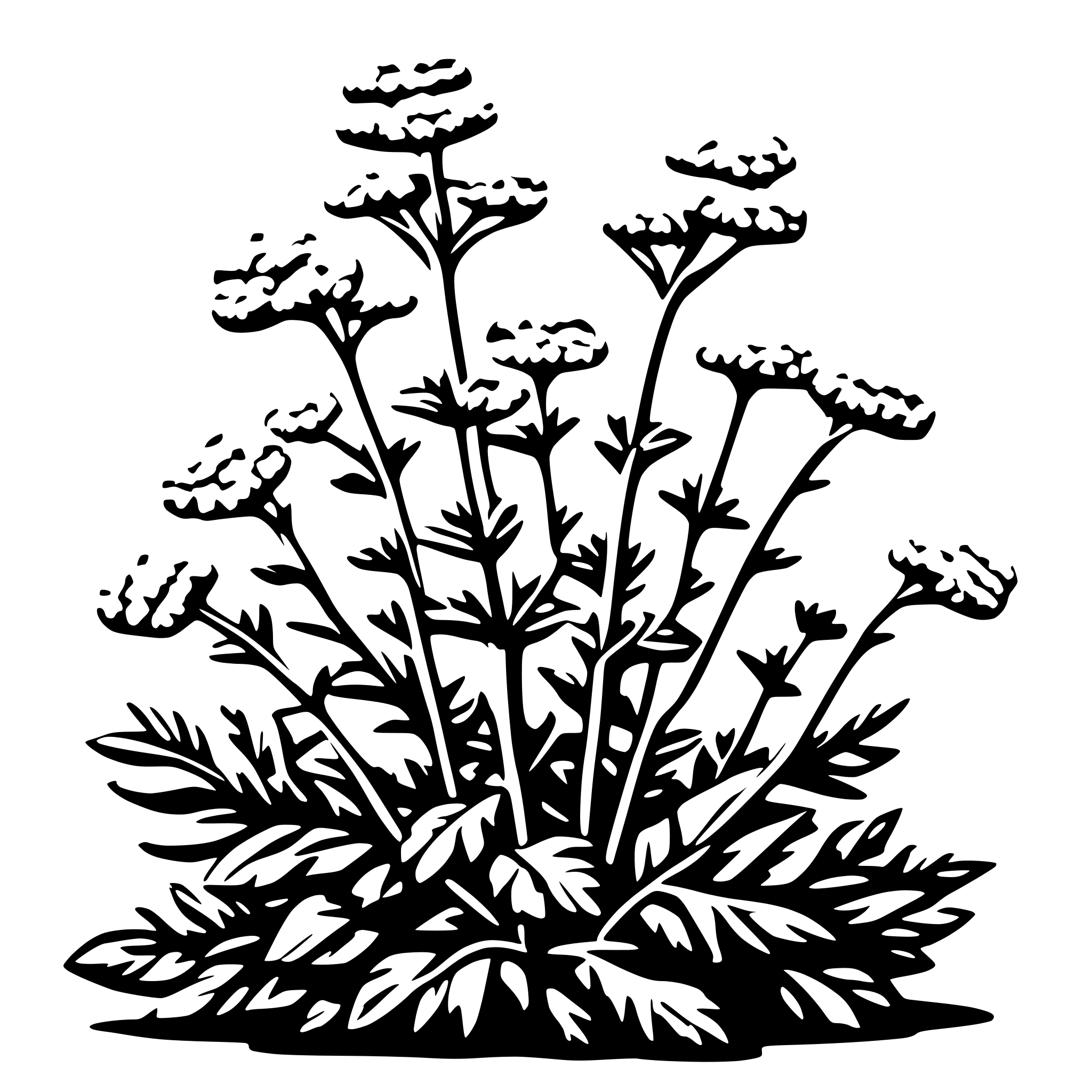 AI-generated SVG of 'yarrow plant'