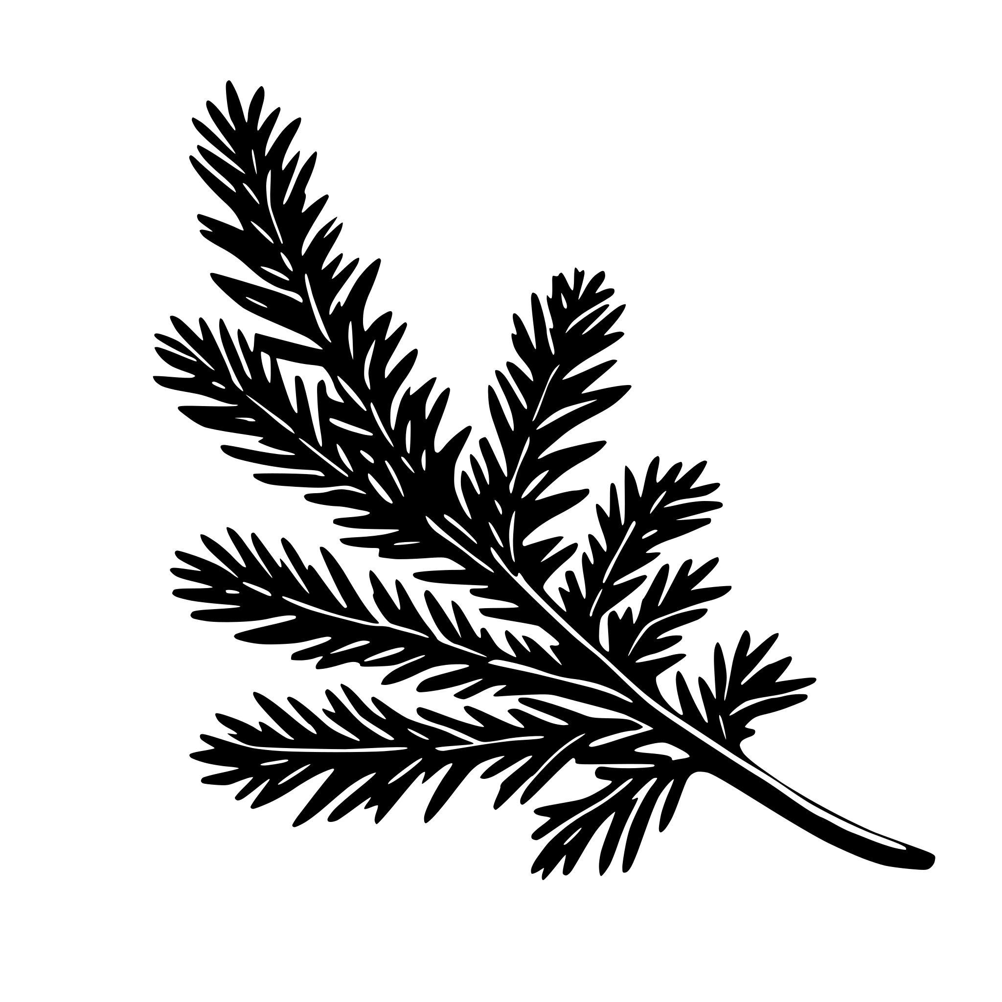 AI-generated SVG of a conifer branch with 7lines