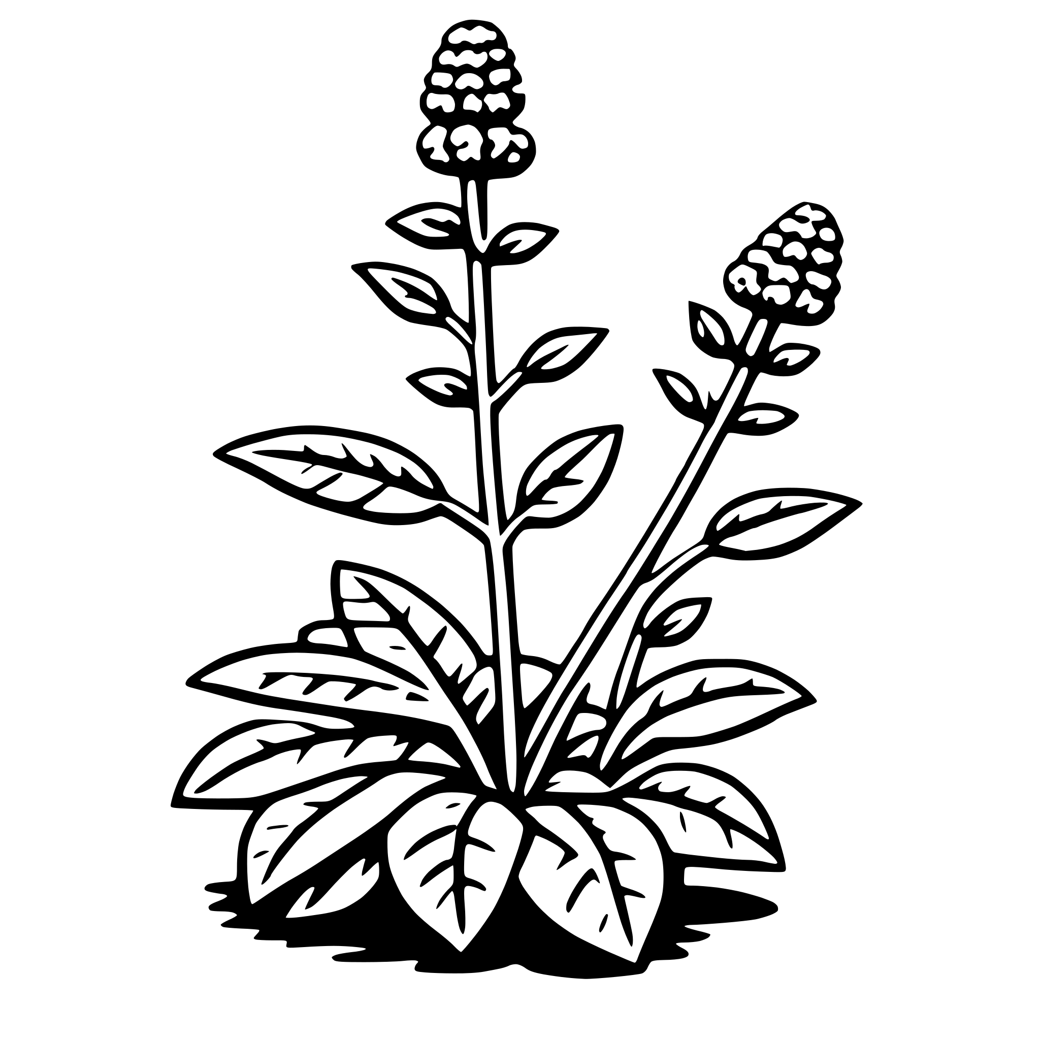 AI-generated SVG of a verbena