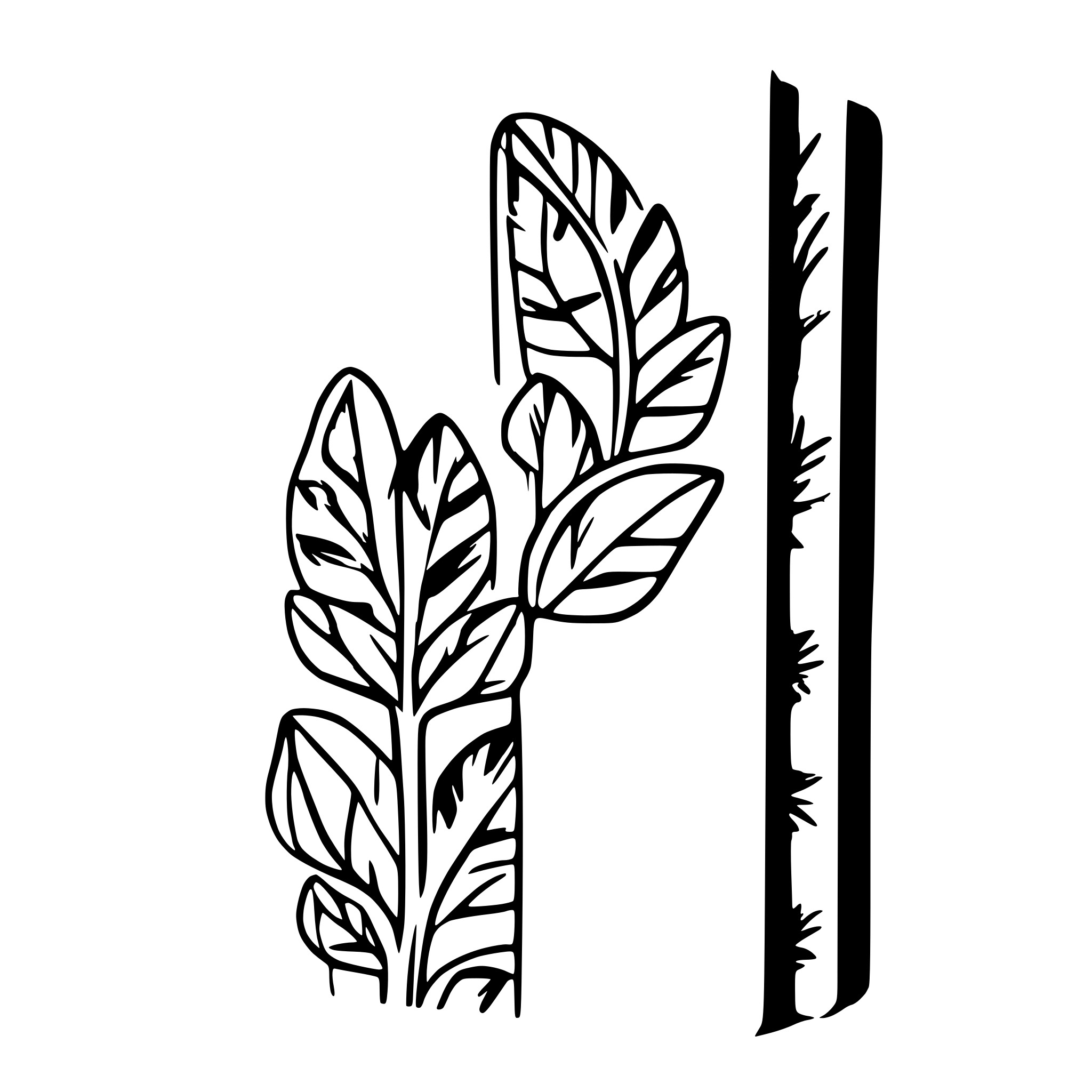 AI-generated SVG of a card, orthodox, border, pattern, blank inside AI-generated SVG of a card, orthodox, border, pattern, blank inside