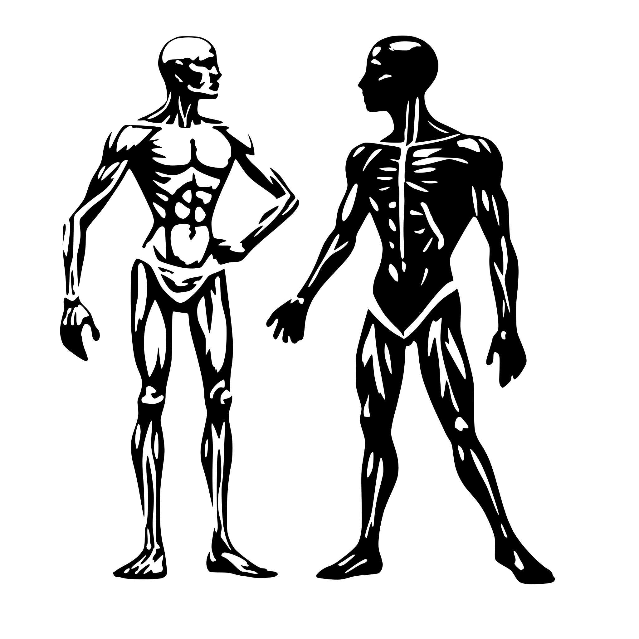 AI-generated SVG of a Human Muscle map