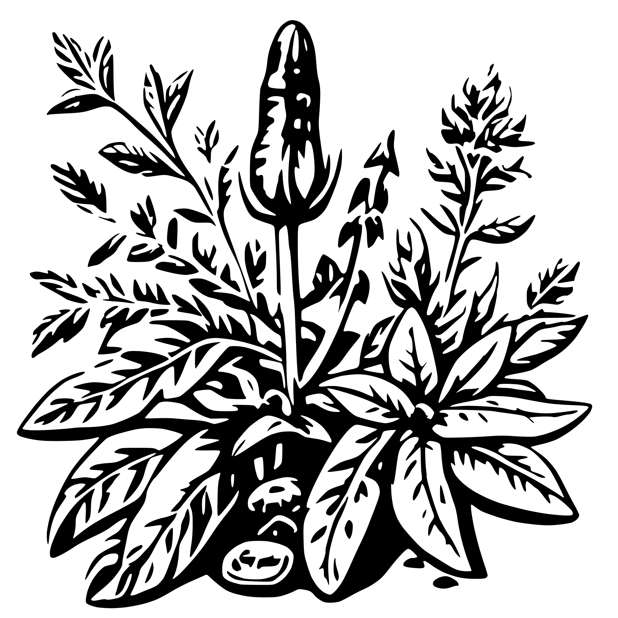 AI-generated SVG of 'herbs with chilies basilkum rosmarin'