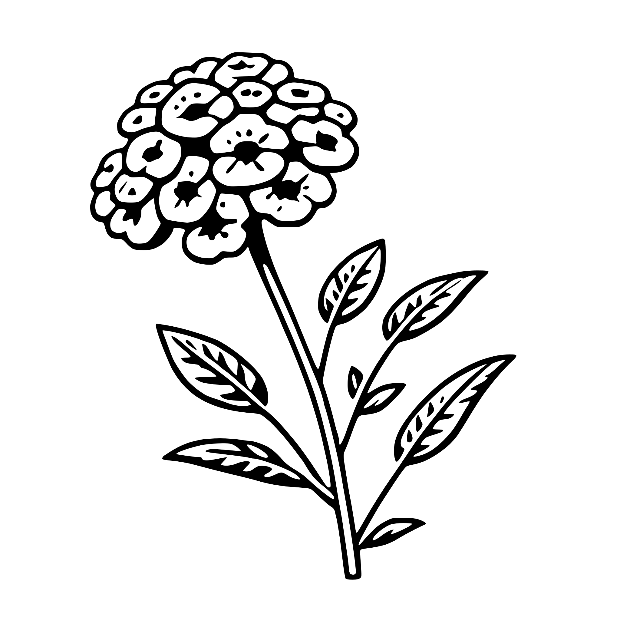 AI-generated SVG of a yarrow