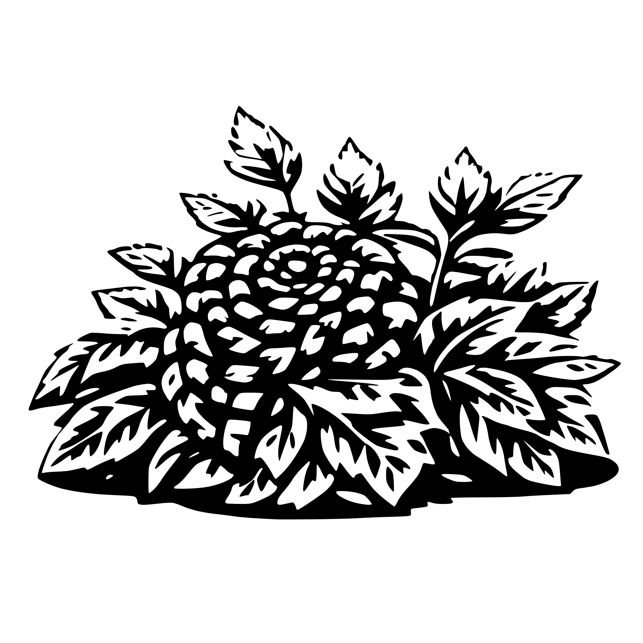 AI-generated SVG of 'coiled brambles, full shape'