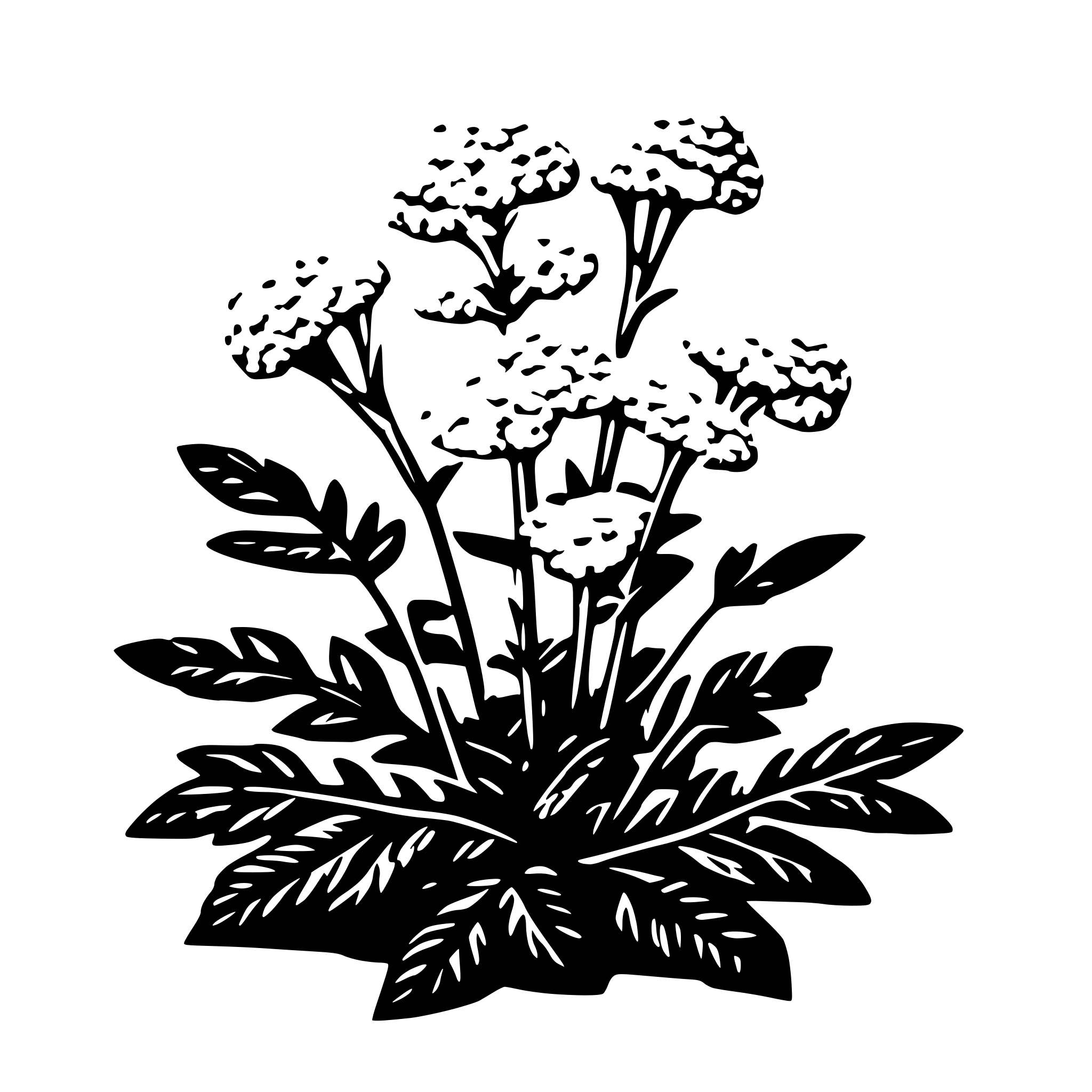 AI-generated SVG of 'yarrow plant'