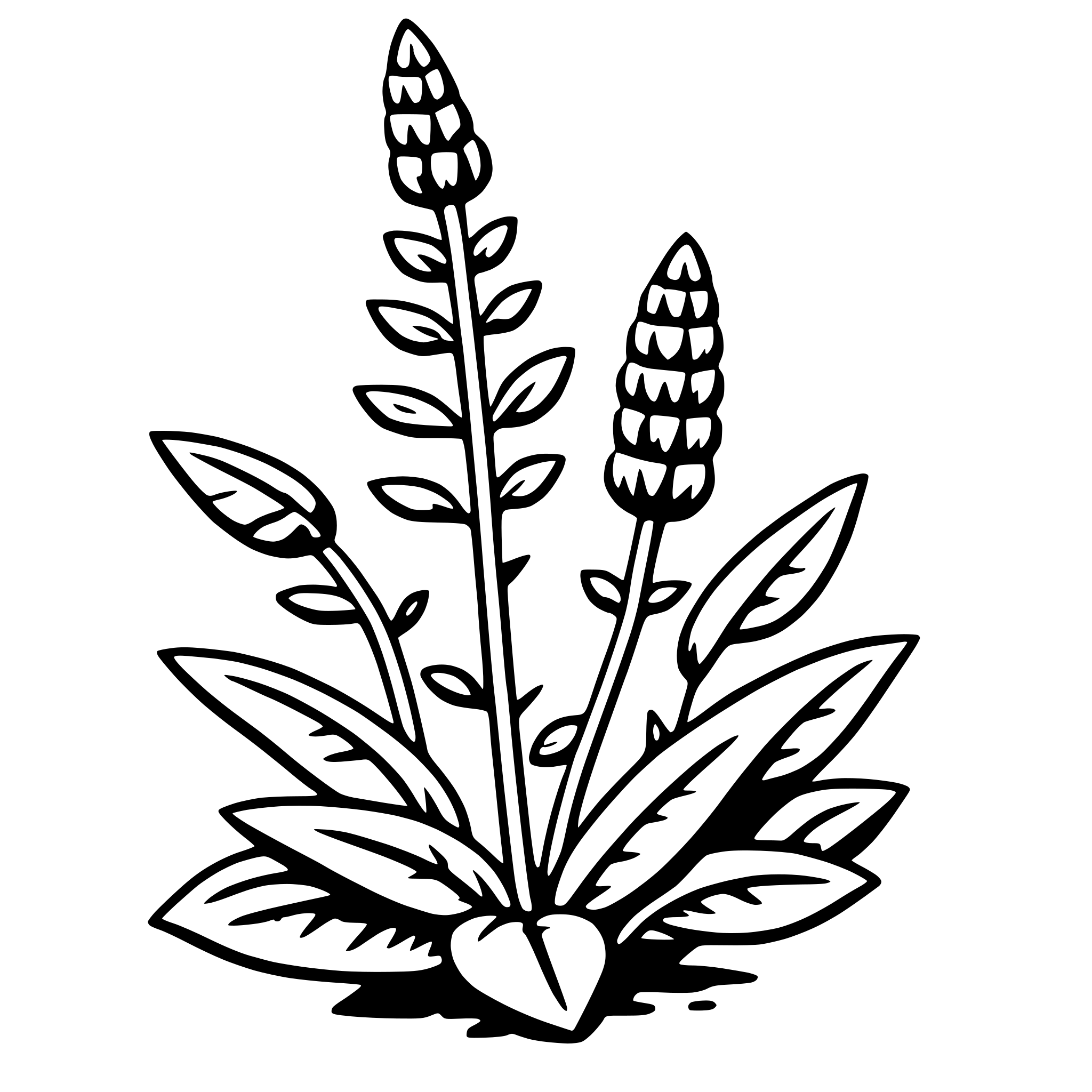 The SVG depicts a stylized plant with three prominent spikes, each topped with a small, rounded flower. The plant has a central stem with two side branches, and the leaves are detailed with veins and a slightly serrated edge. The overall style is simplistic and graphic, with a clear outline and minimal shading. The plant is centered against a plain background. 